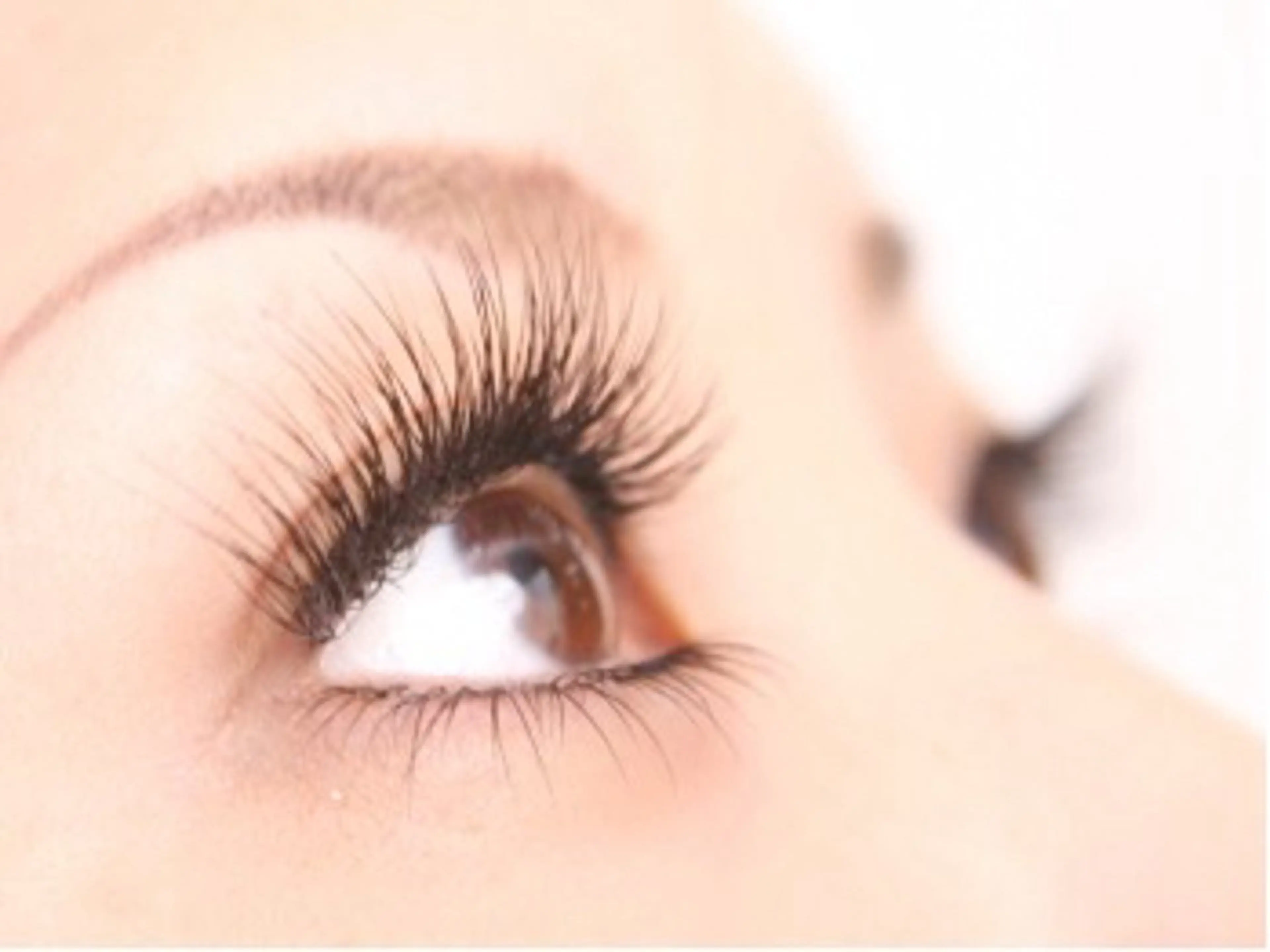 新メニュー導入記念❣️LEDまつげエクステつけ放題❣️(200本まで)新規の方オフ代無料‼️の写真