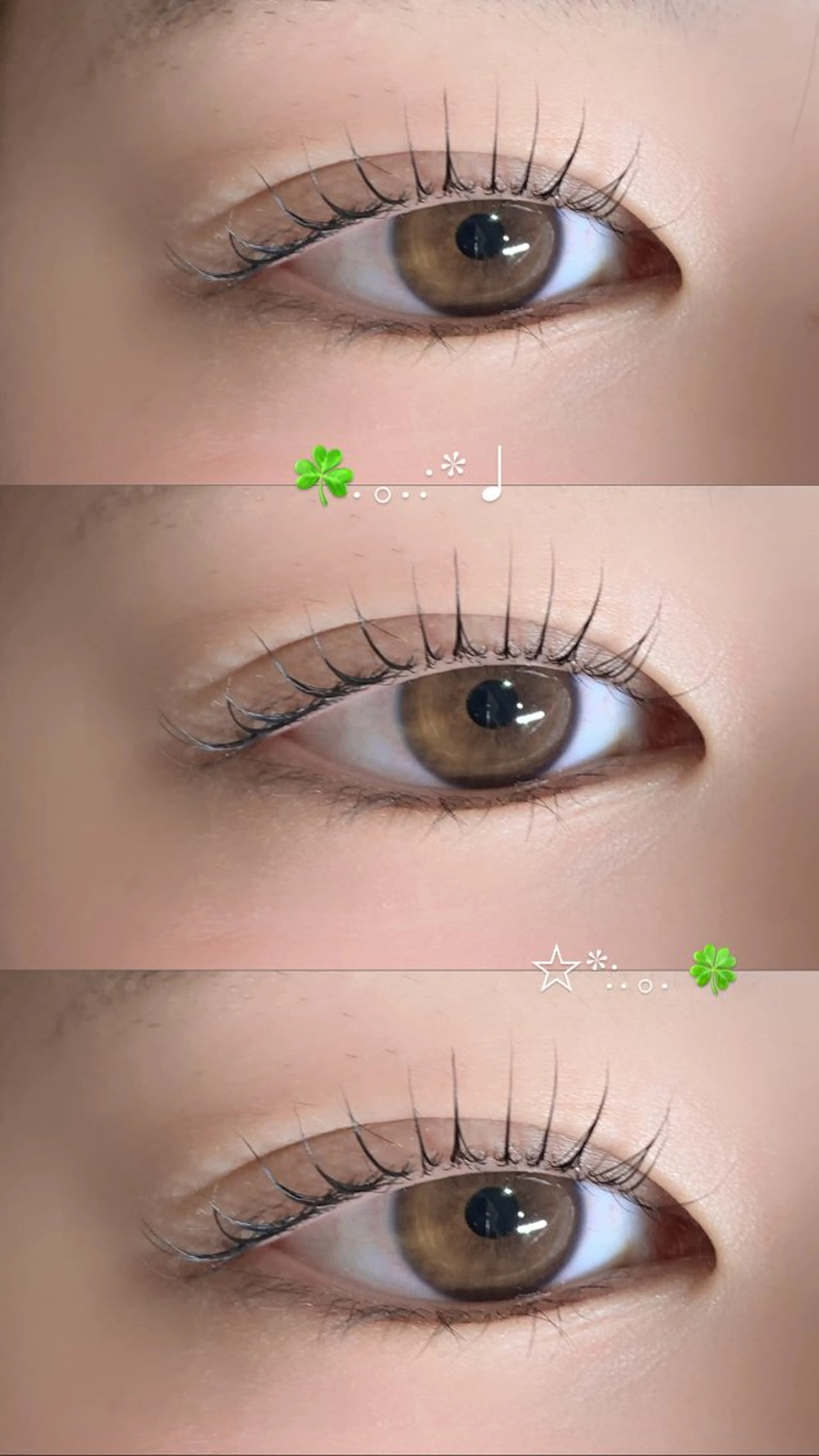 【ご新規様限定】上のみまつ毛パーマの写真