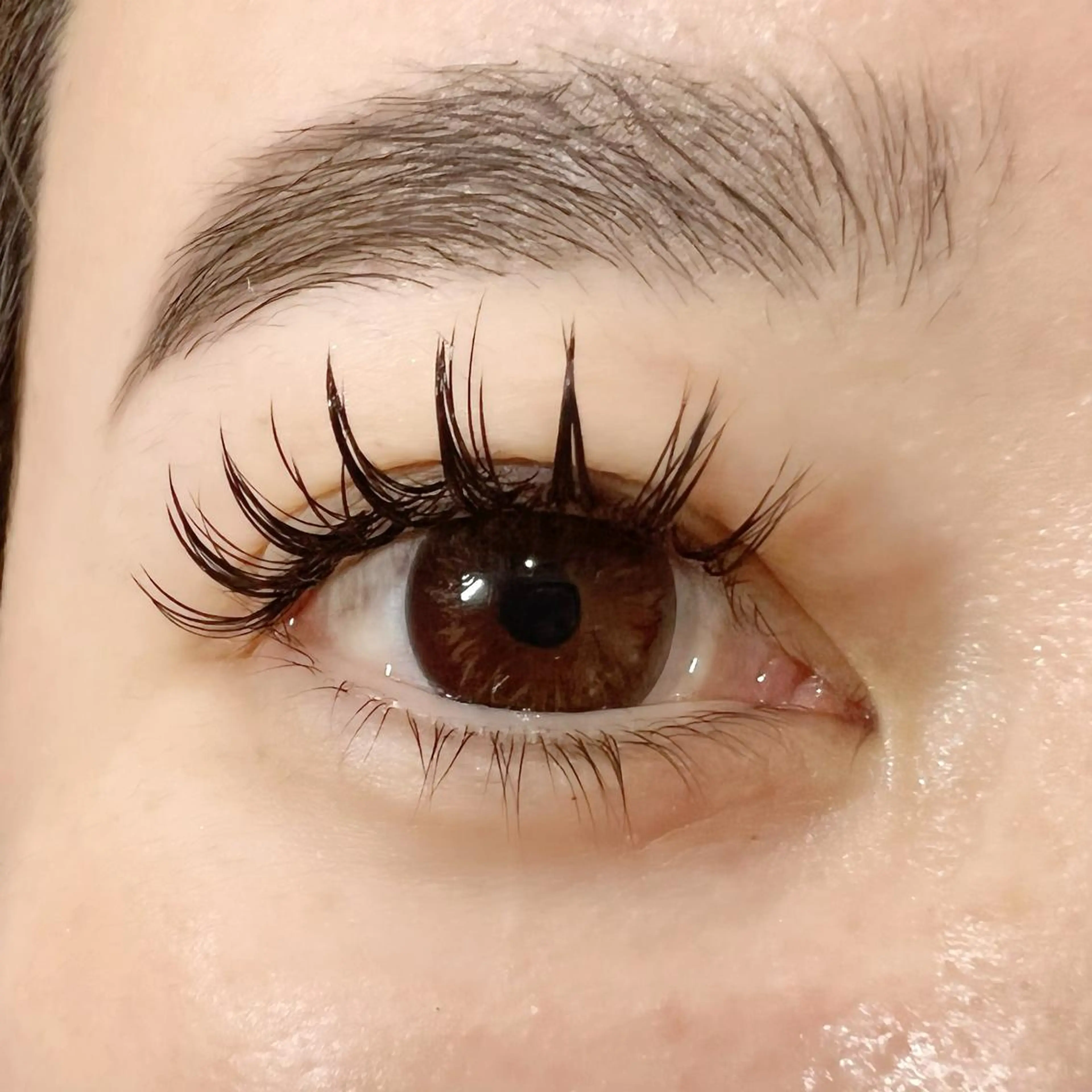 マツエク・マツパ バインドロック 束感まつ毛 Celeste Venus所属・🧸Celeste Venusのマツエク・マツパデザイン