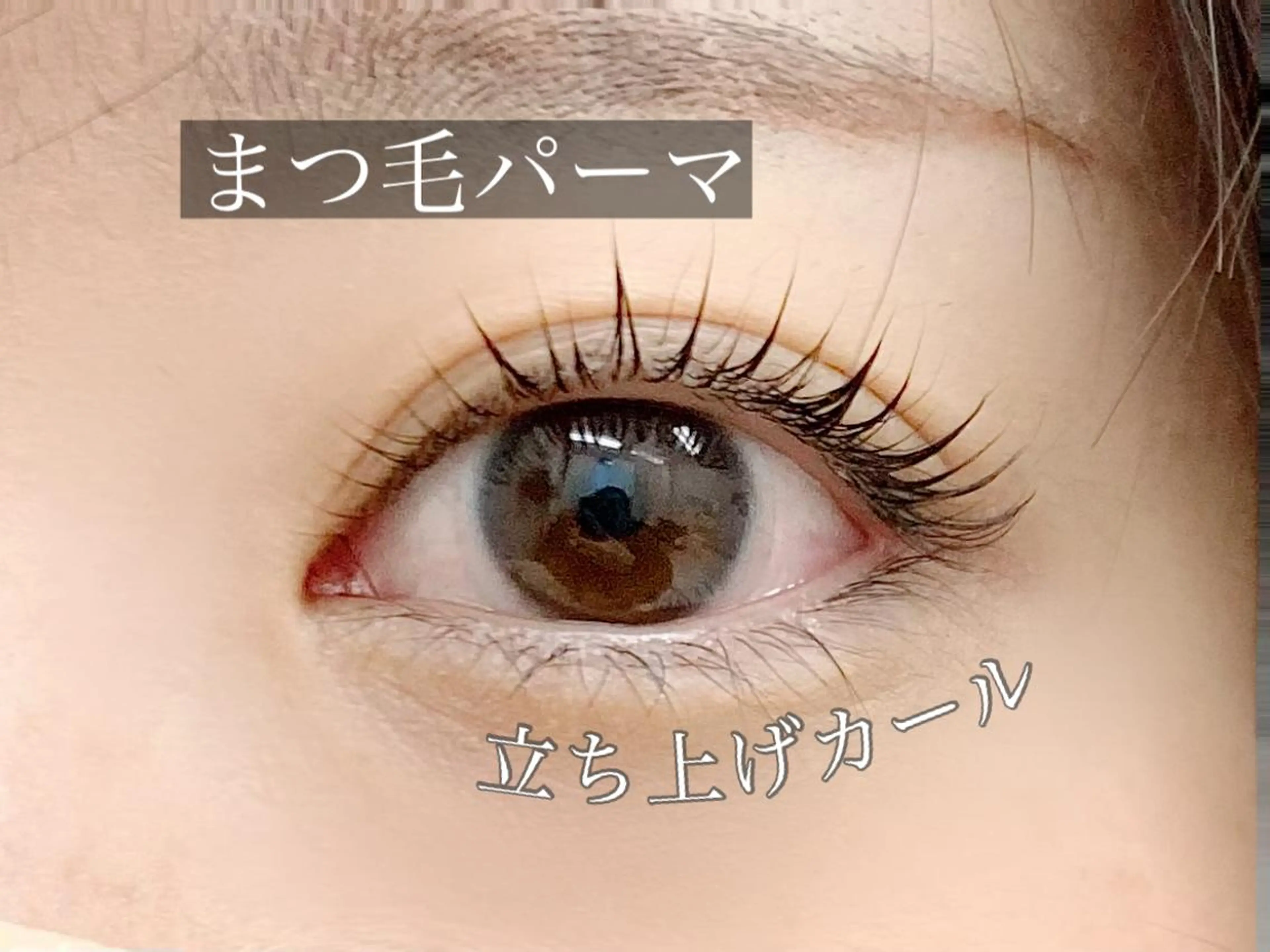 マツエク・マツパ マツコのまつ育サロン 埼玉大宮店のマツエク・マツパデザイン