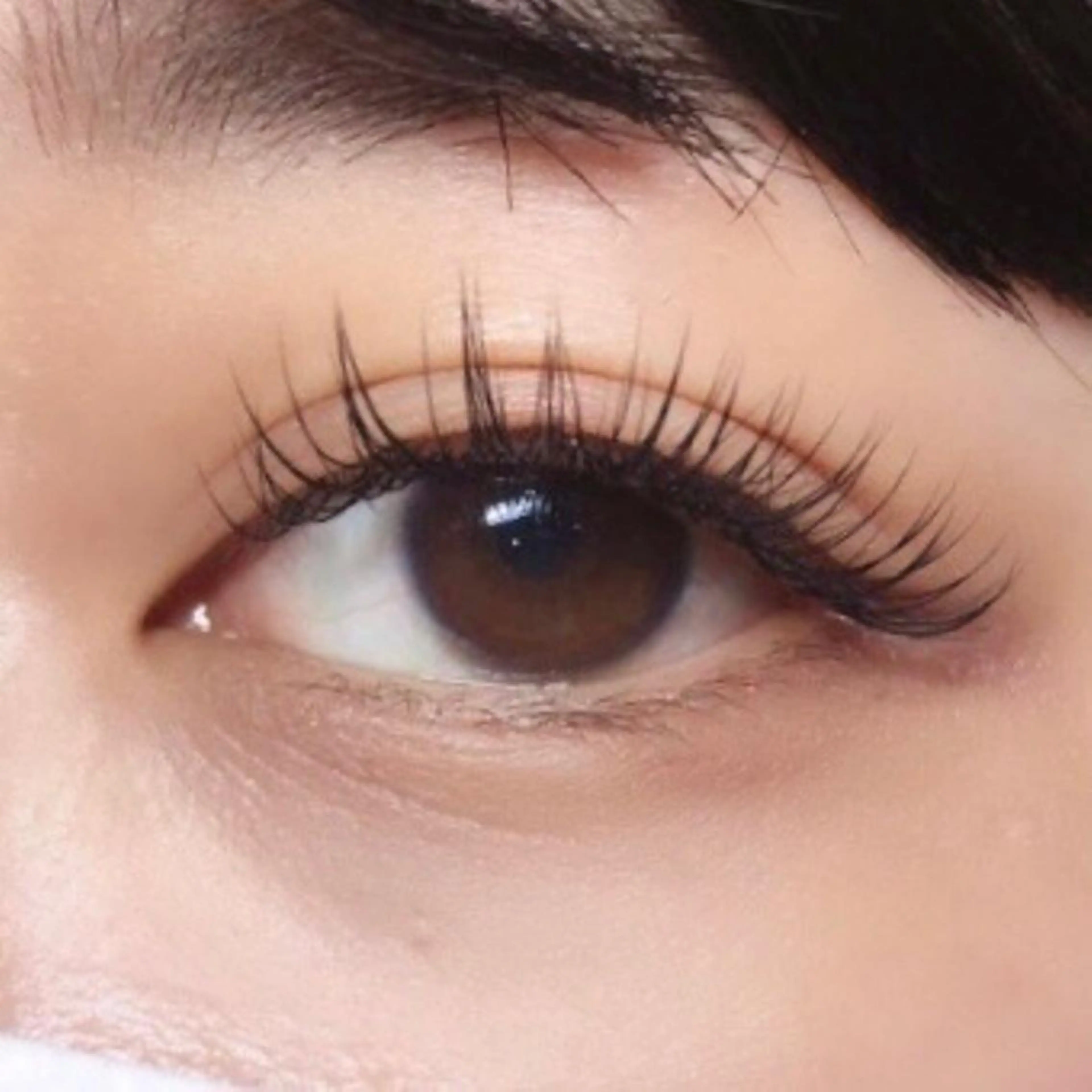 マツエク・マツパ セーブル eyelist / nana🌱のマツエク・マツパデザイン