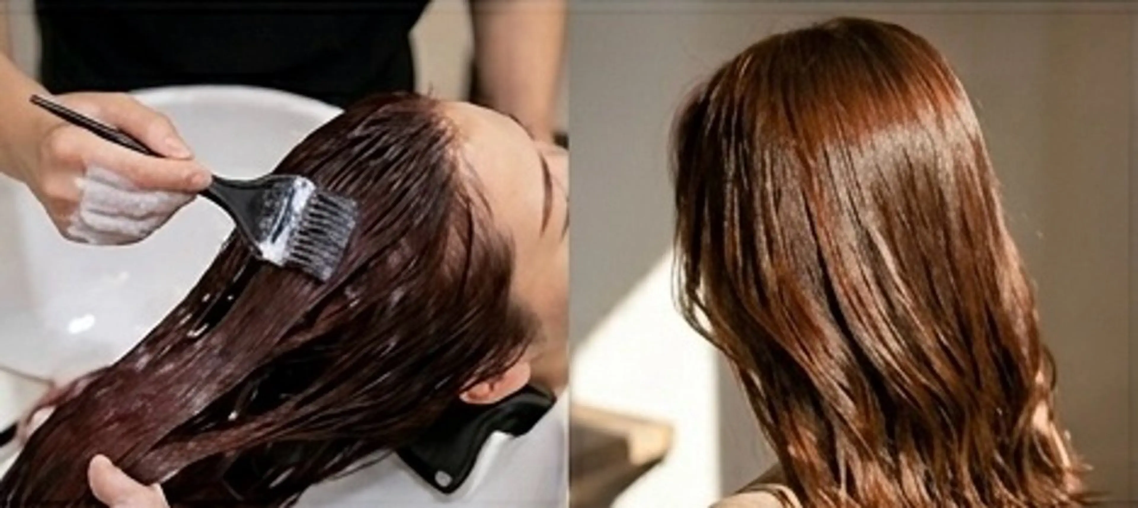 セミロング カット トリートメント ヘッドスパ Ｙ＆Ｙ所属・ヤマダ ユウジのヘアスタイル