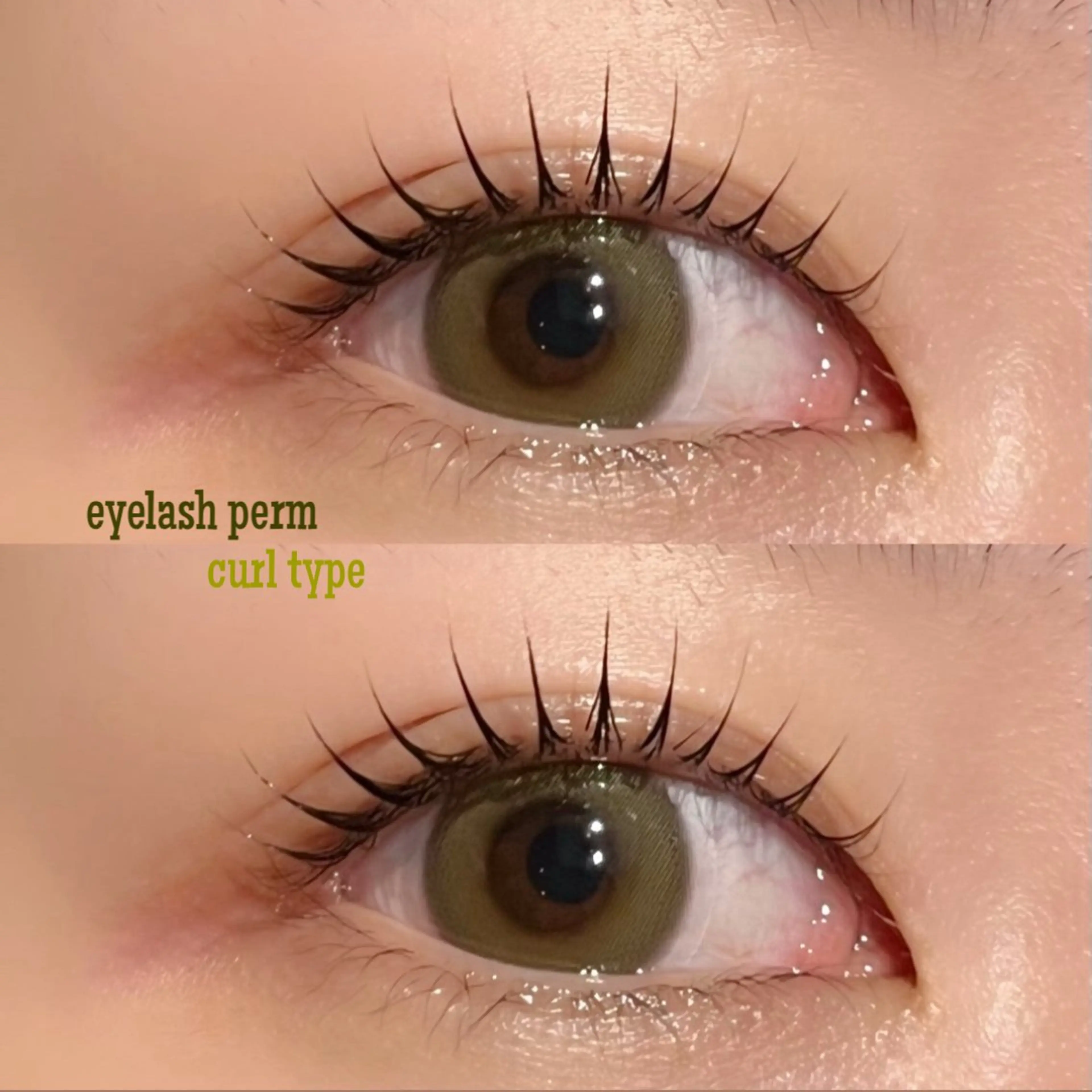 マツエク・マツパ マツパ igeta所属・yui 表参道のマツエク・マツパデザイン