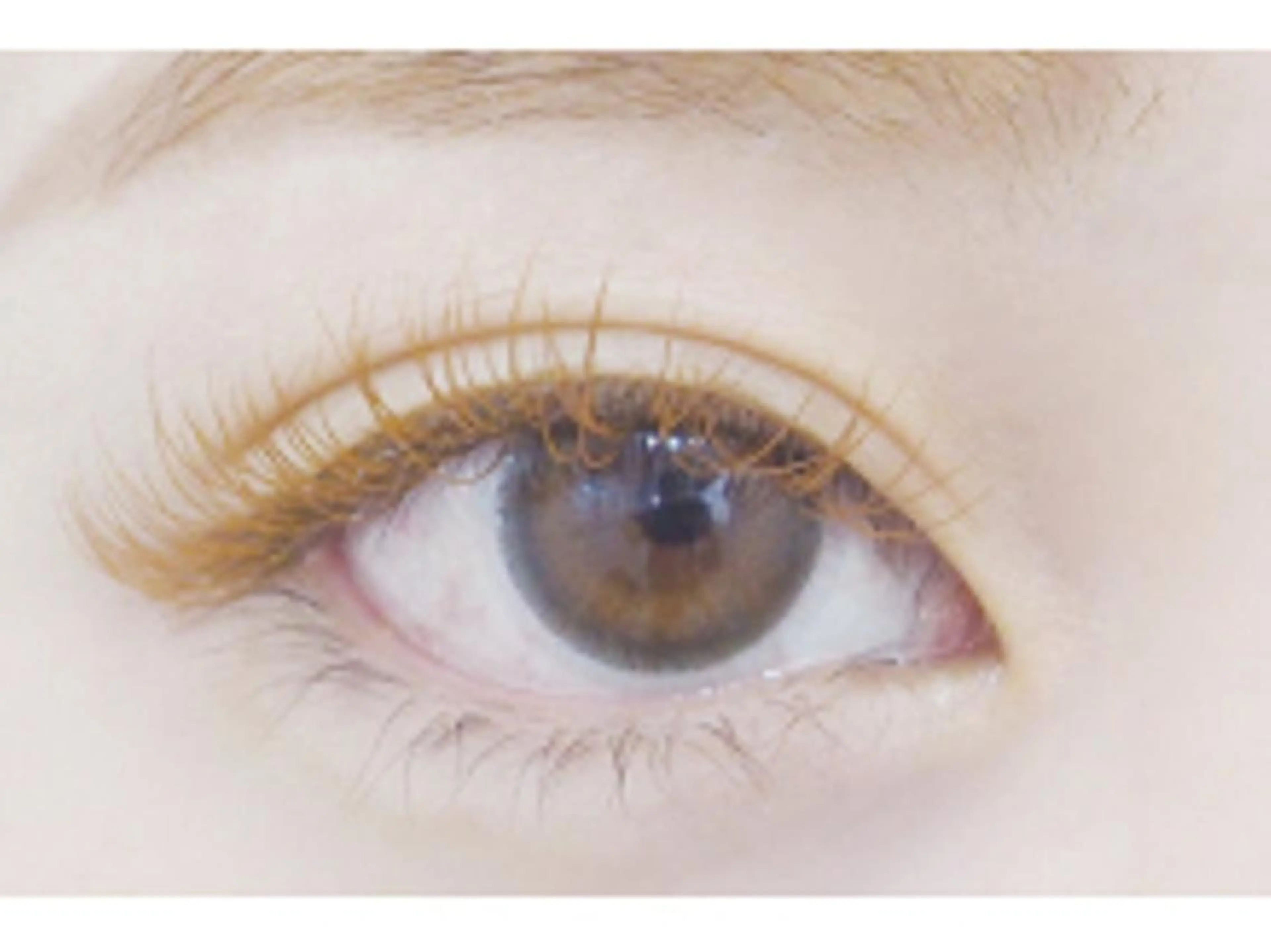 マツエク・マツパ カラーマツエク Dカール セーブル glee 川口駅前店のマツエク・マツパデザイン