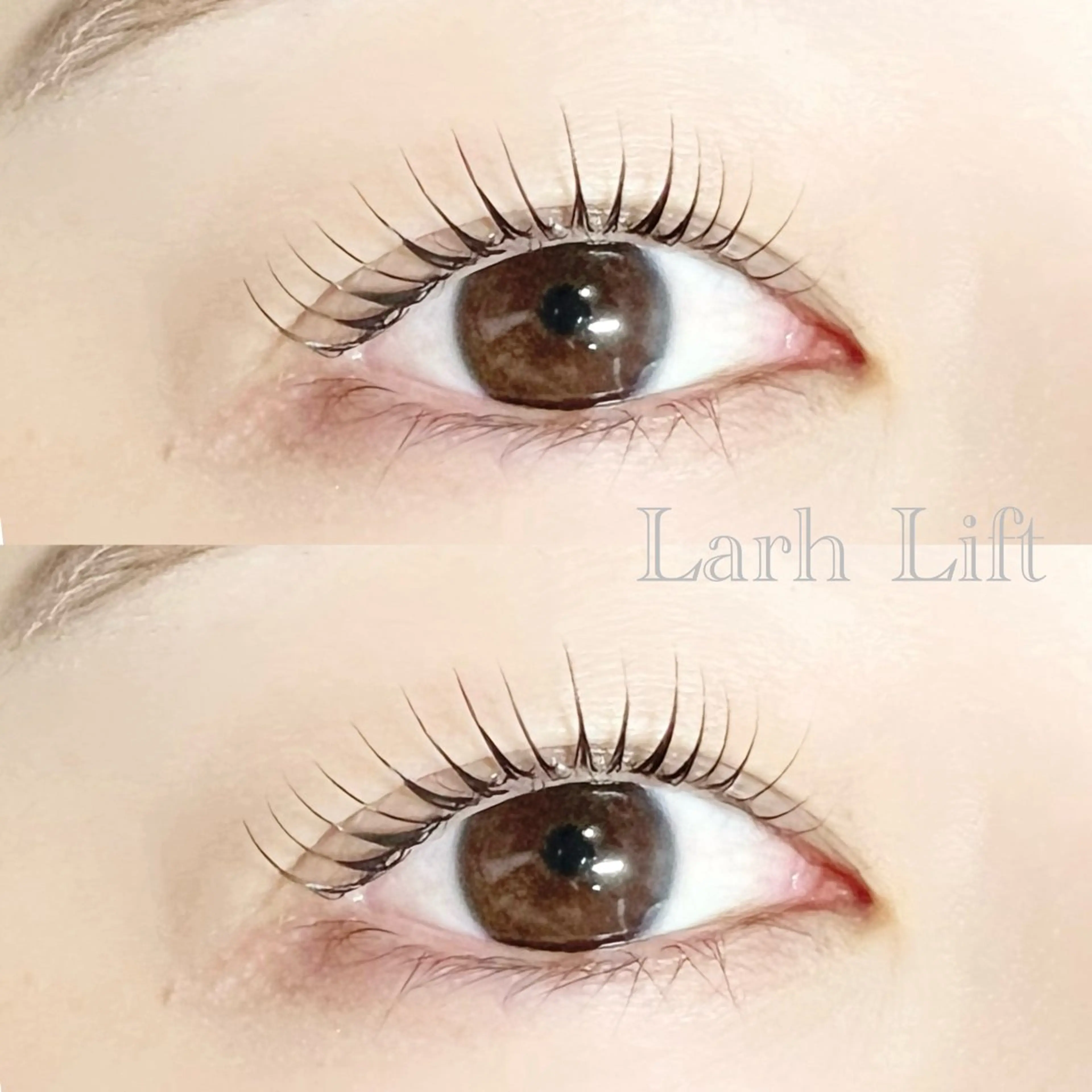 【似合わせまつげパーマ🌸】パリジェンヌラッシュリフトorラッシュリフト　ケラチントリートメント付き⭐️の写真