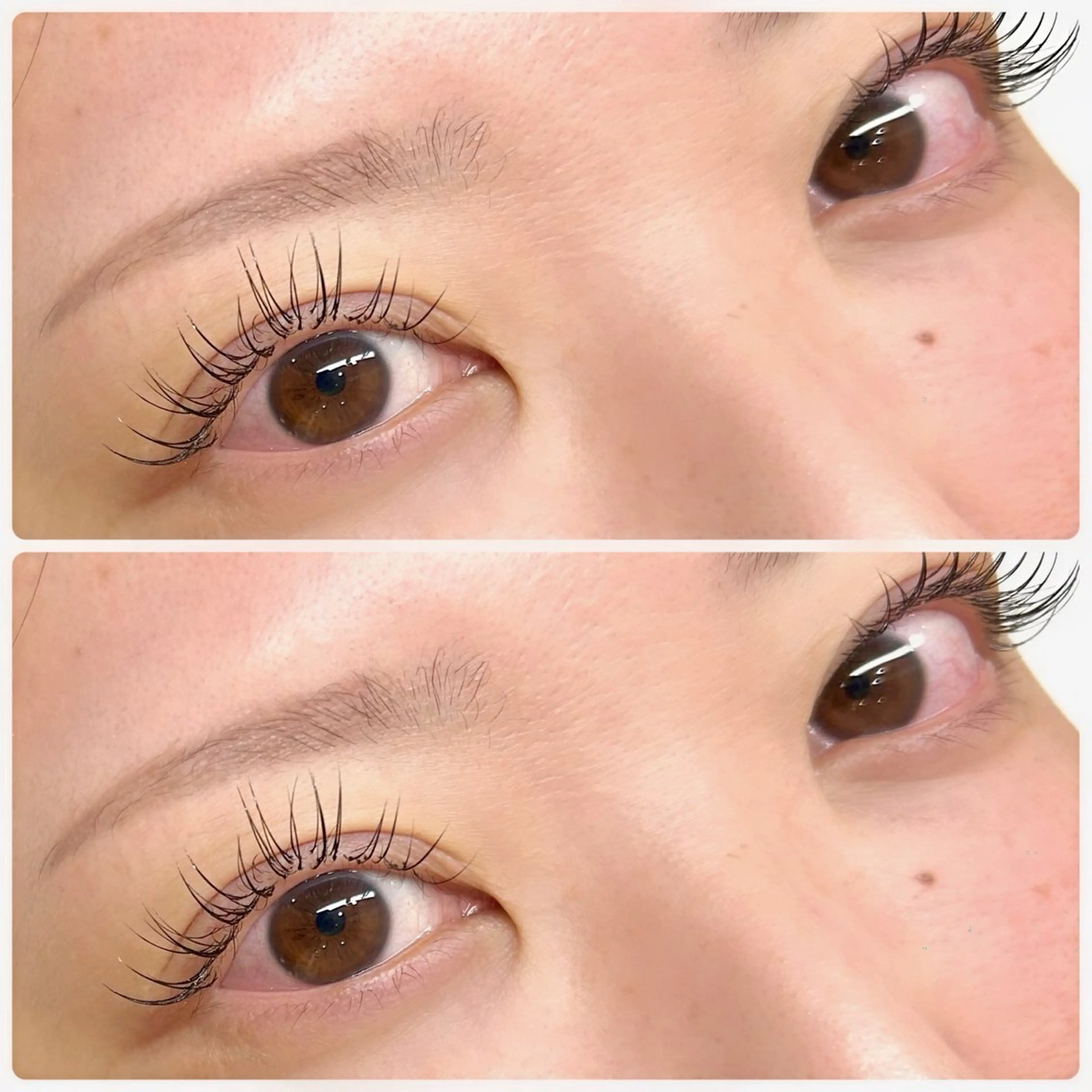 🦄フラットラッシュ100本🫶🏻【¥7,060→¥2,660】の写真