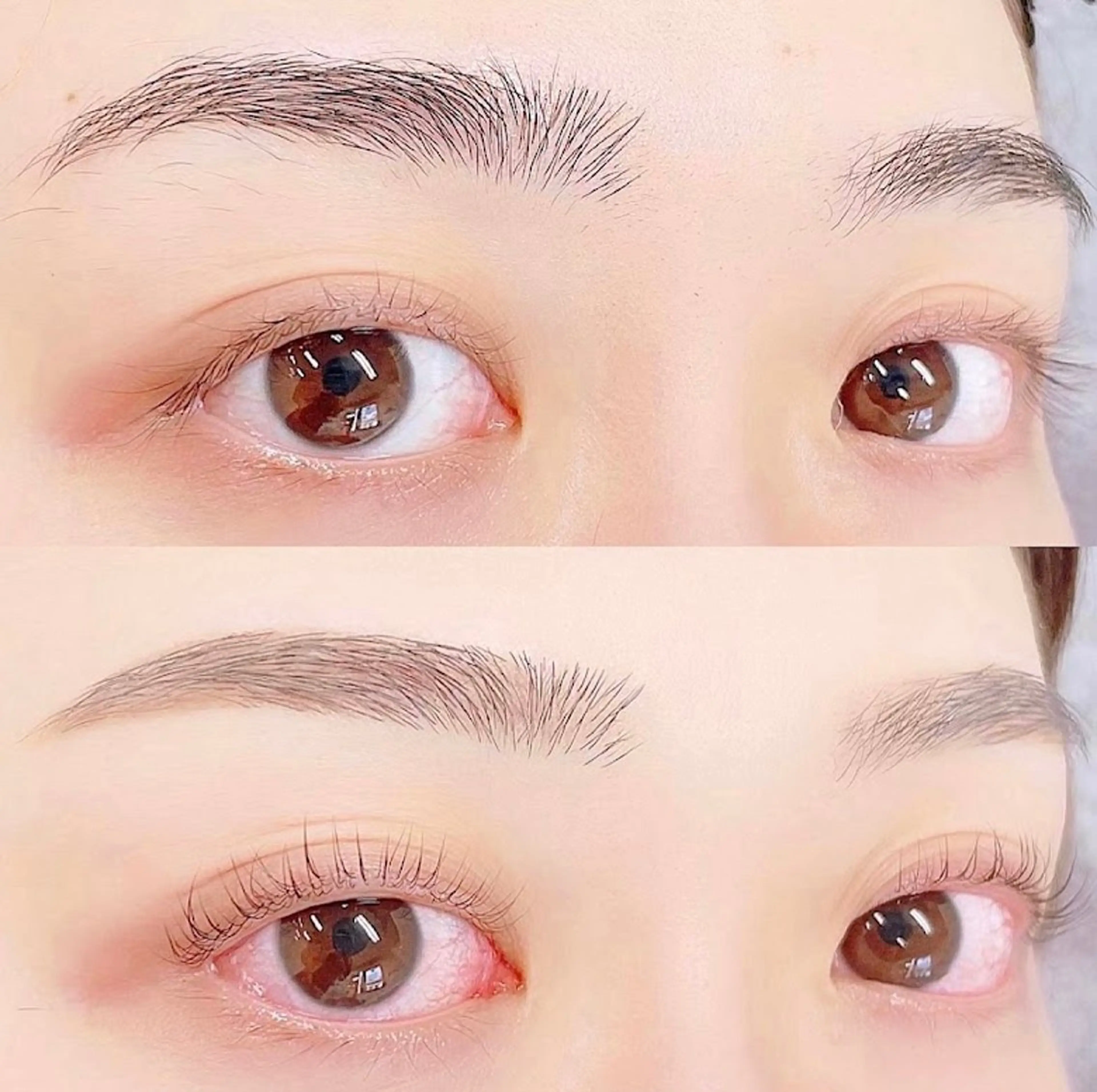 1/13 14:00​〜​限定✨ハリウッドブロウリフト✨※施術時間60分 @池袋研修所の写真