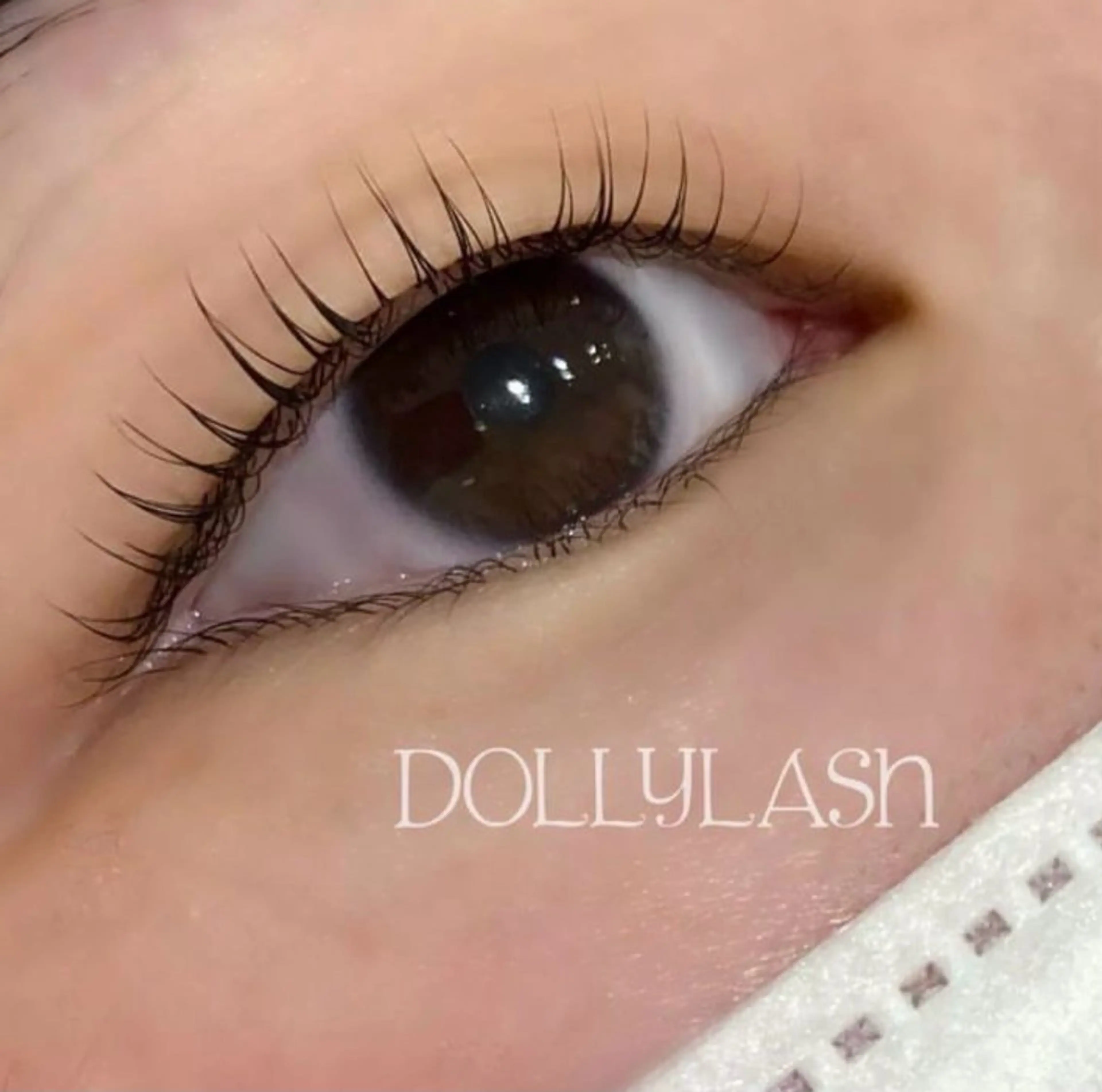 マツエク・マツパ ドーリーラッシュ 小嶌のマツエク・マツパデザイン