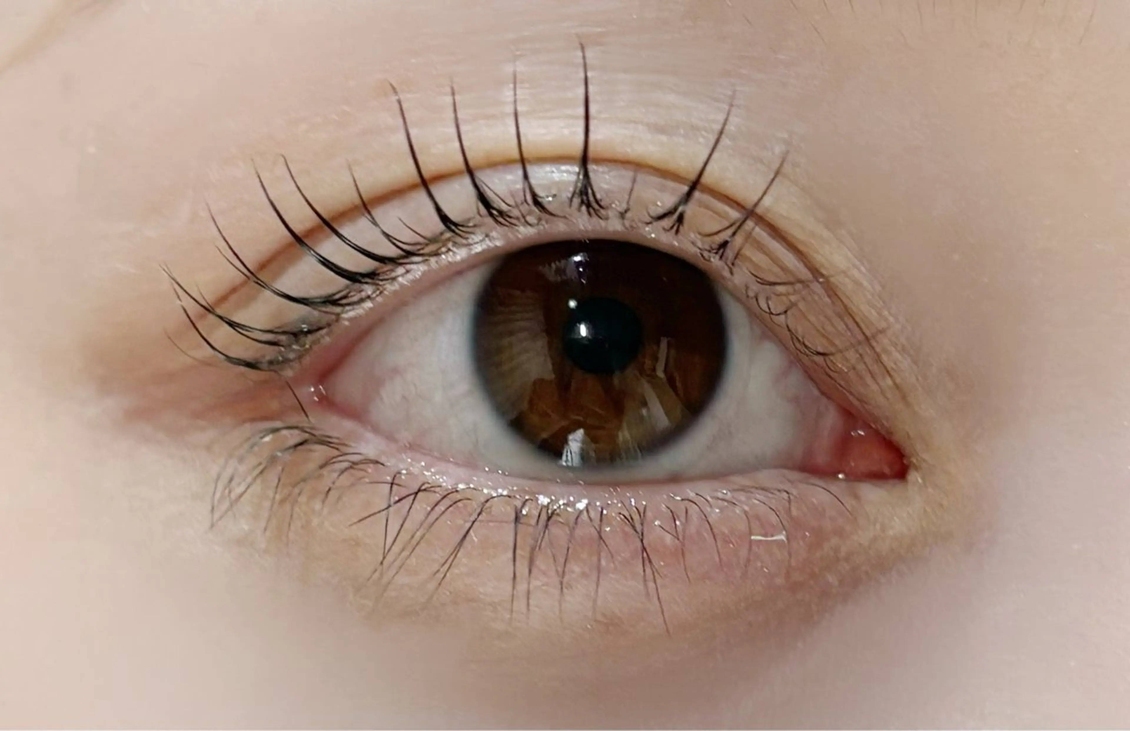 マツエク・マツパ 松崎 有紗の眉毛・アイブロウイメージ