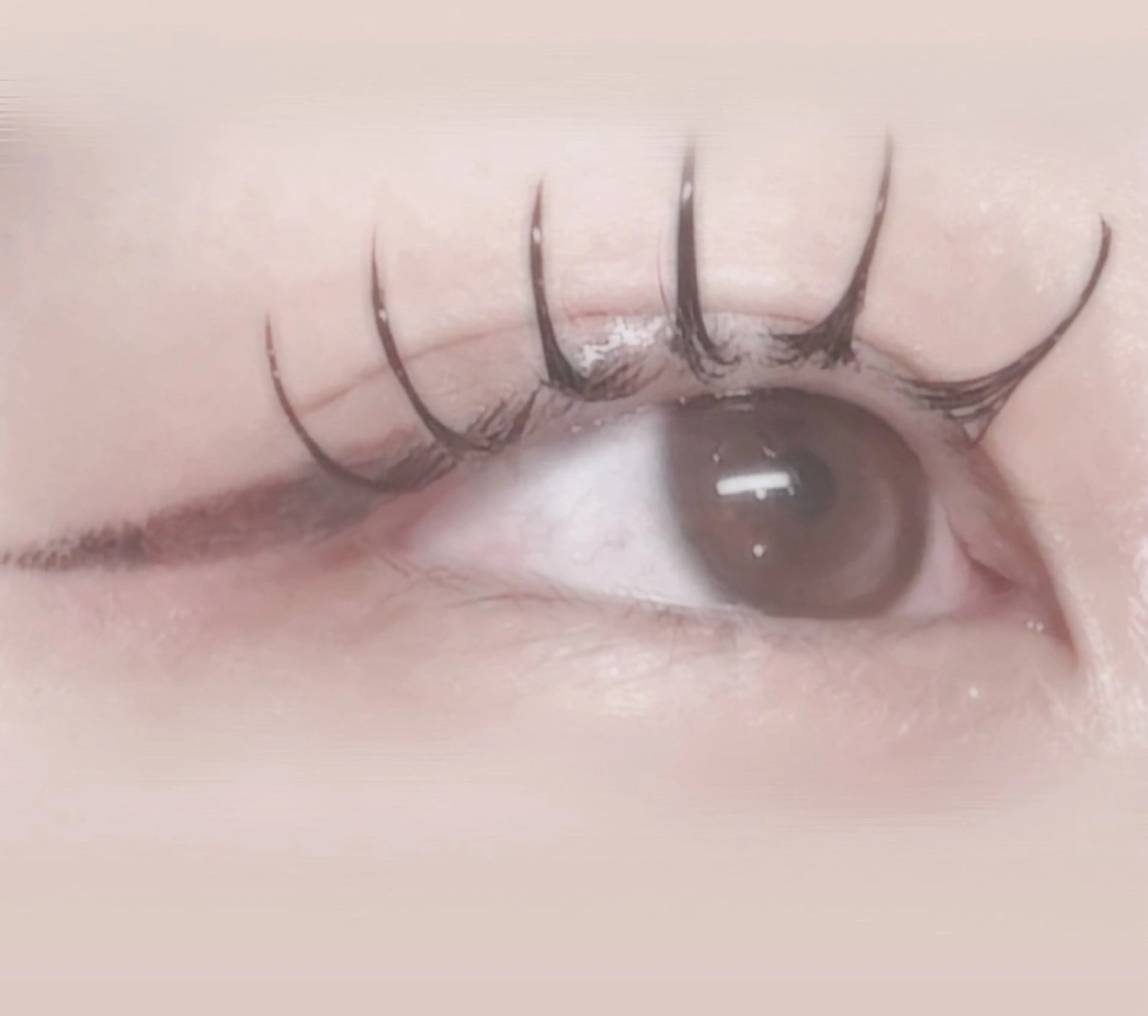 マツエク・マツパ Dカール ナチュラル 仲尾 奏音のマツエク・マツパデザイン