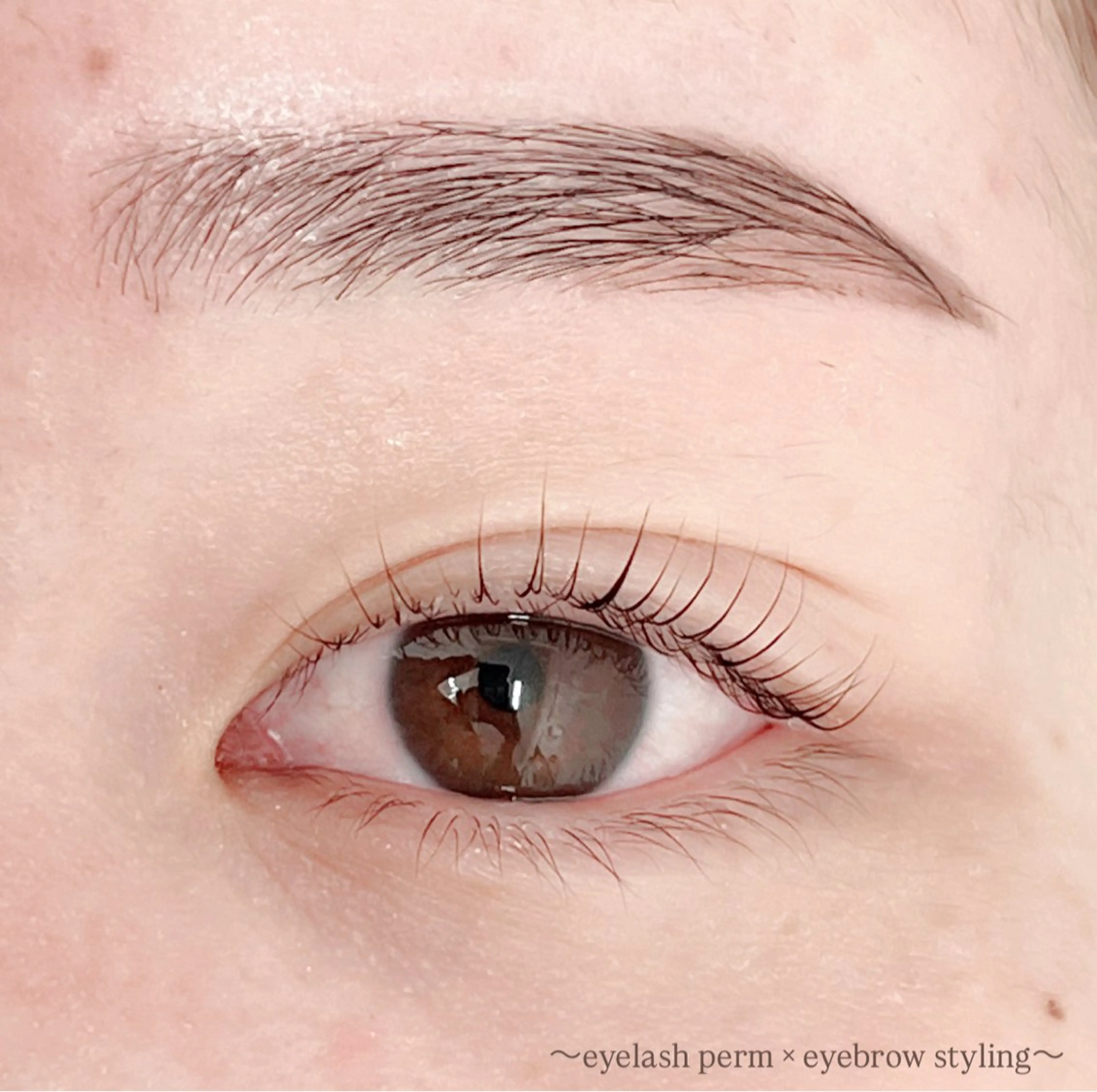 アイブロウ ワックス脱毛 眉カット その他(アイブロウ) 田村 莉子のマツエク・マツパデザイン