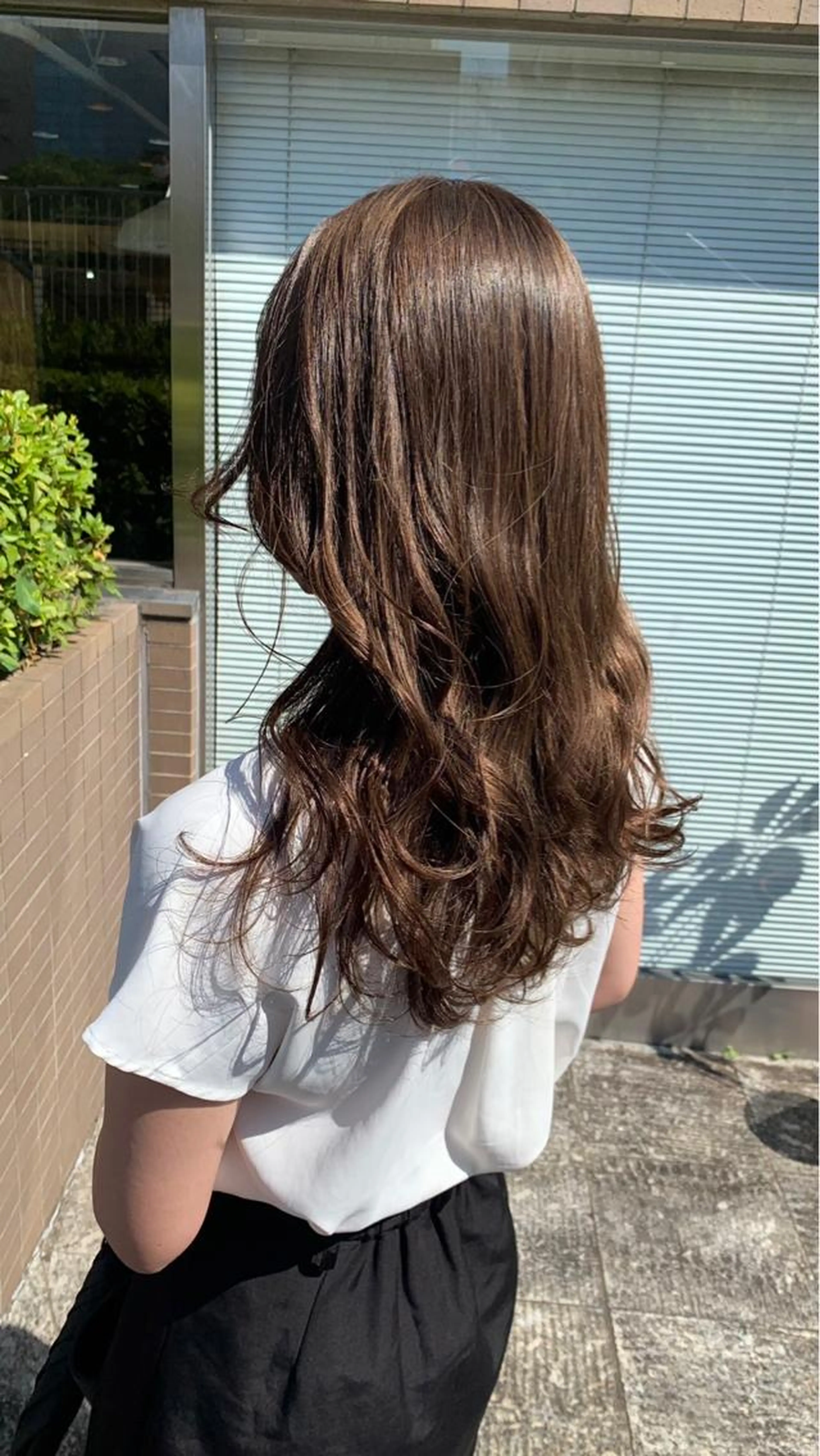 カット＋イルミナカラーの写真