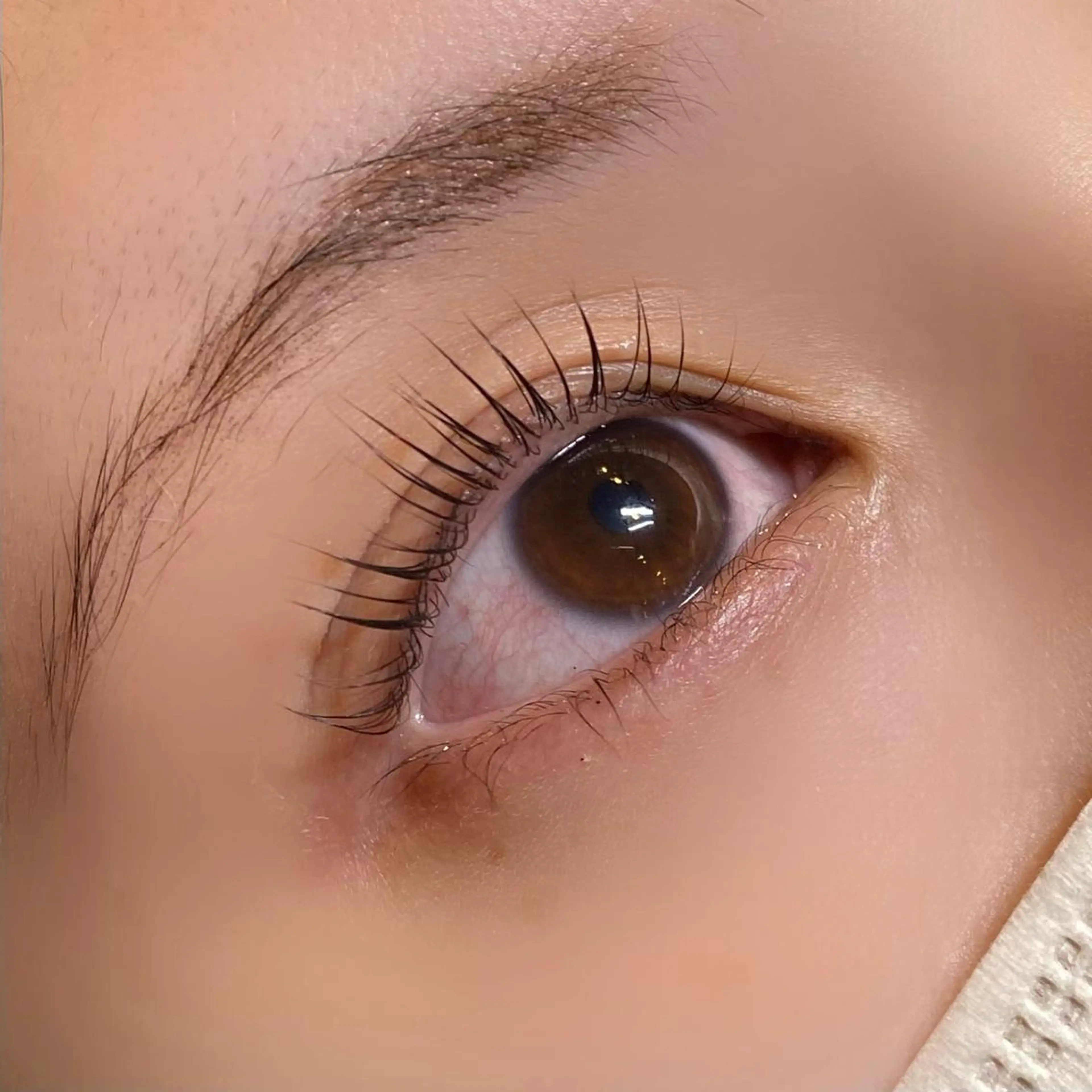 マツエク・マツパ Lカール 一重×まつ毛パーマ 🪽yoshino miku 🩵のマツエク・マツパデザイン