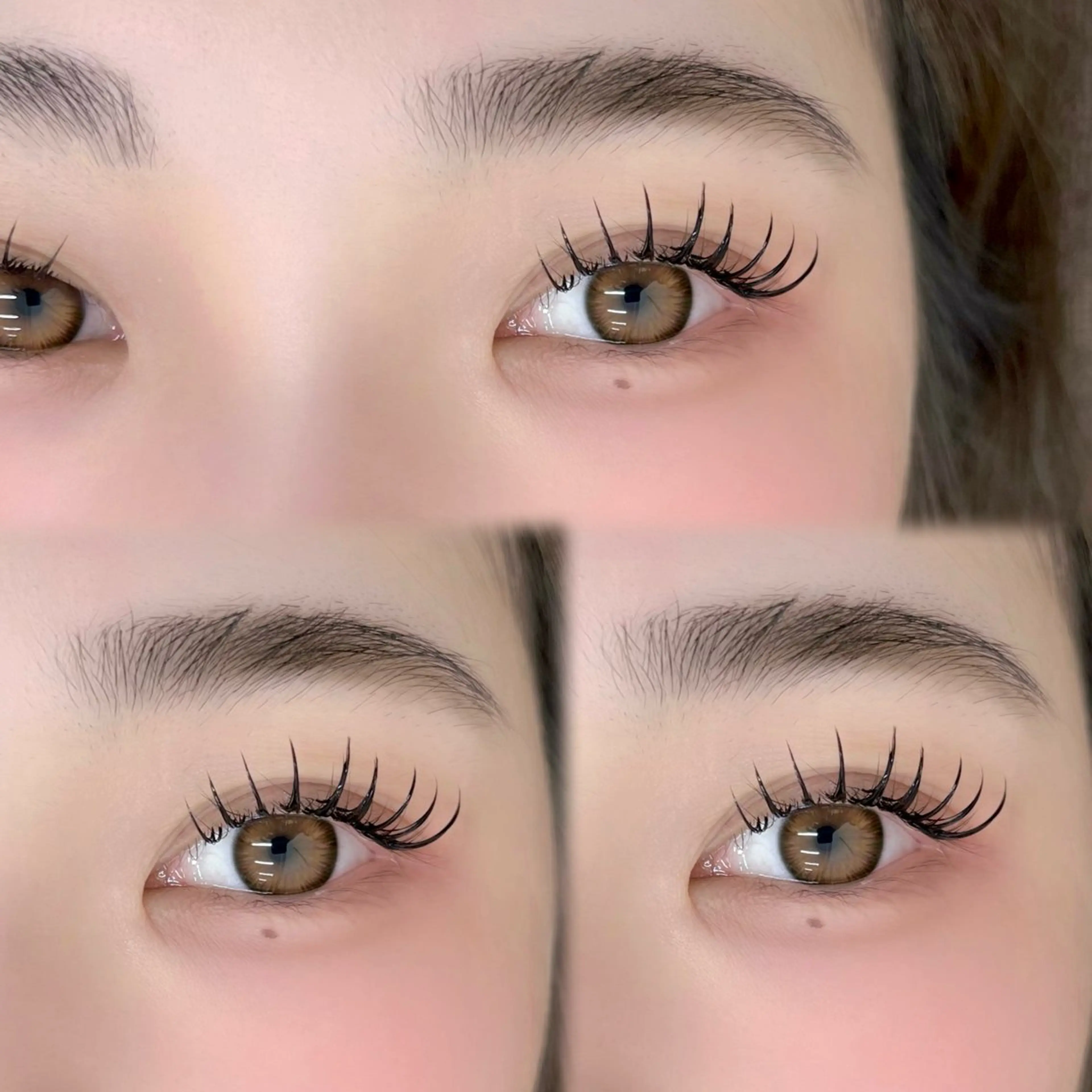 【当日限定】バインドロック80束の写真