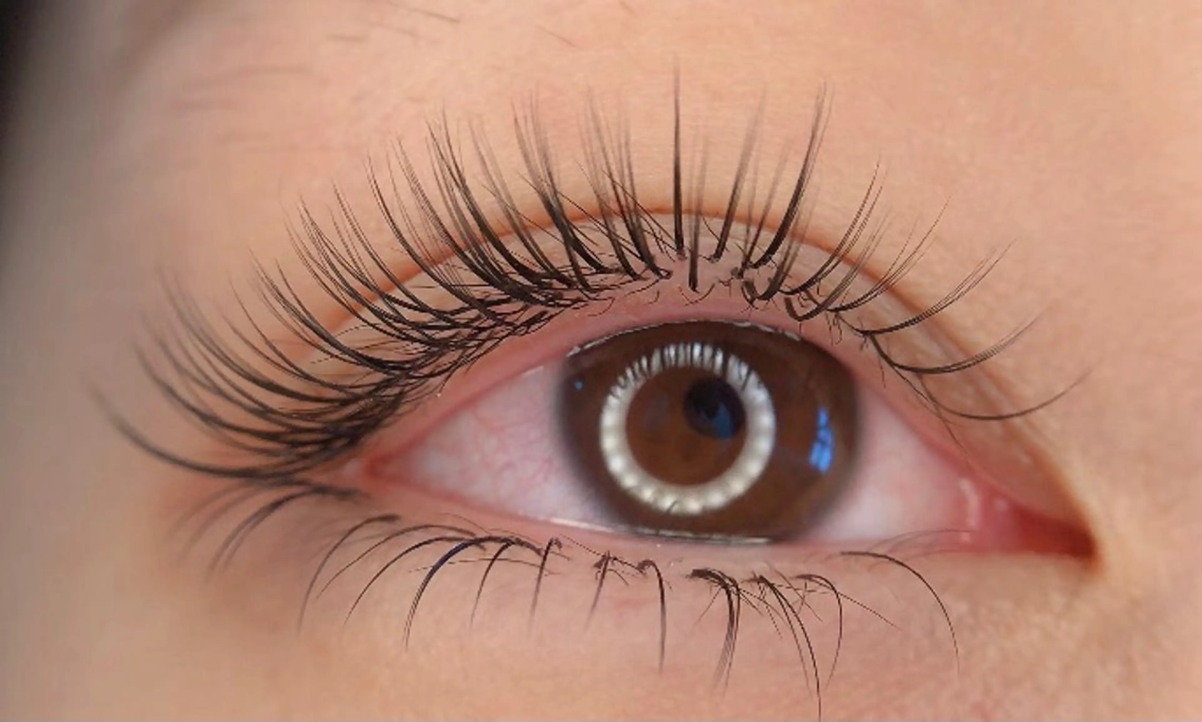 🌸まつ毛少ない方お勧め🌈持続力NO1【2Dフラットラッシュ】80束（160本）7980，100束(200本)8980の写真