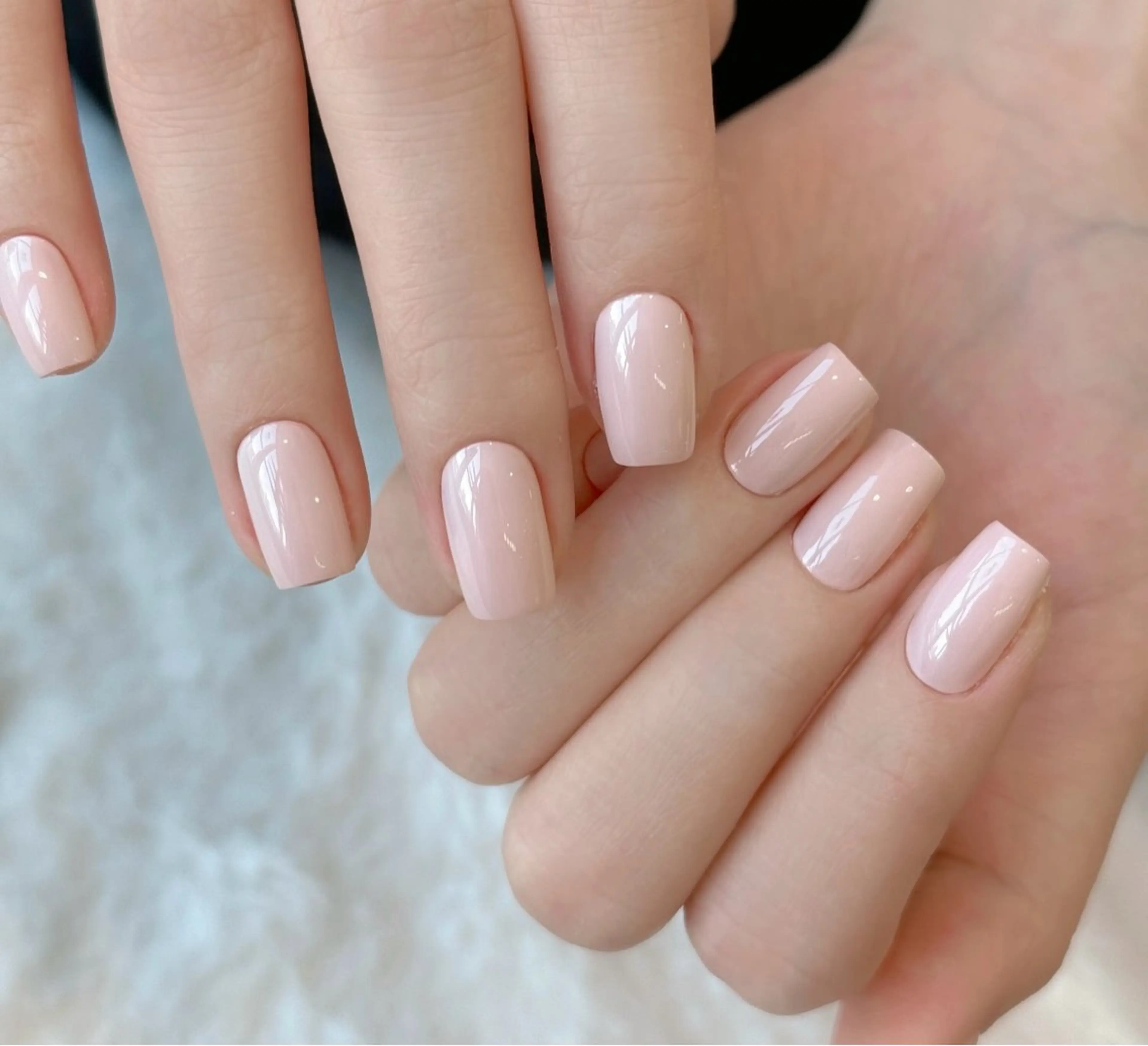 🎀ワンカラーの写真