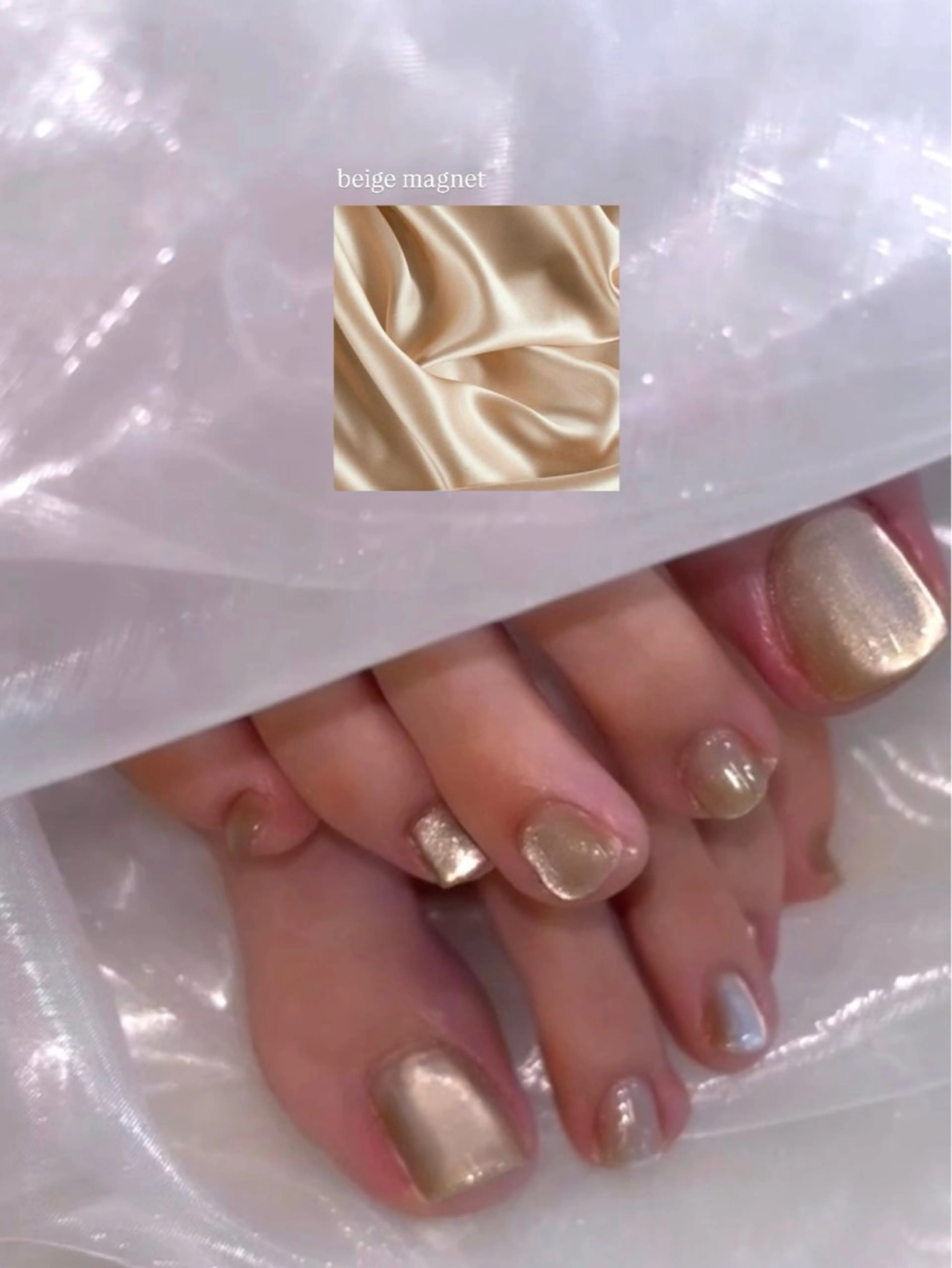 🐾フットネイル(オフなし)の写真