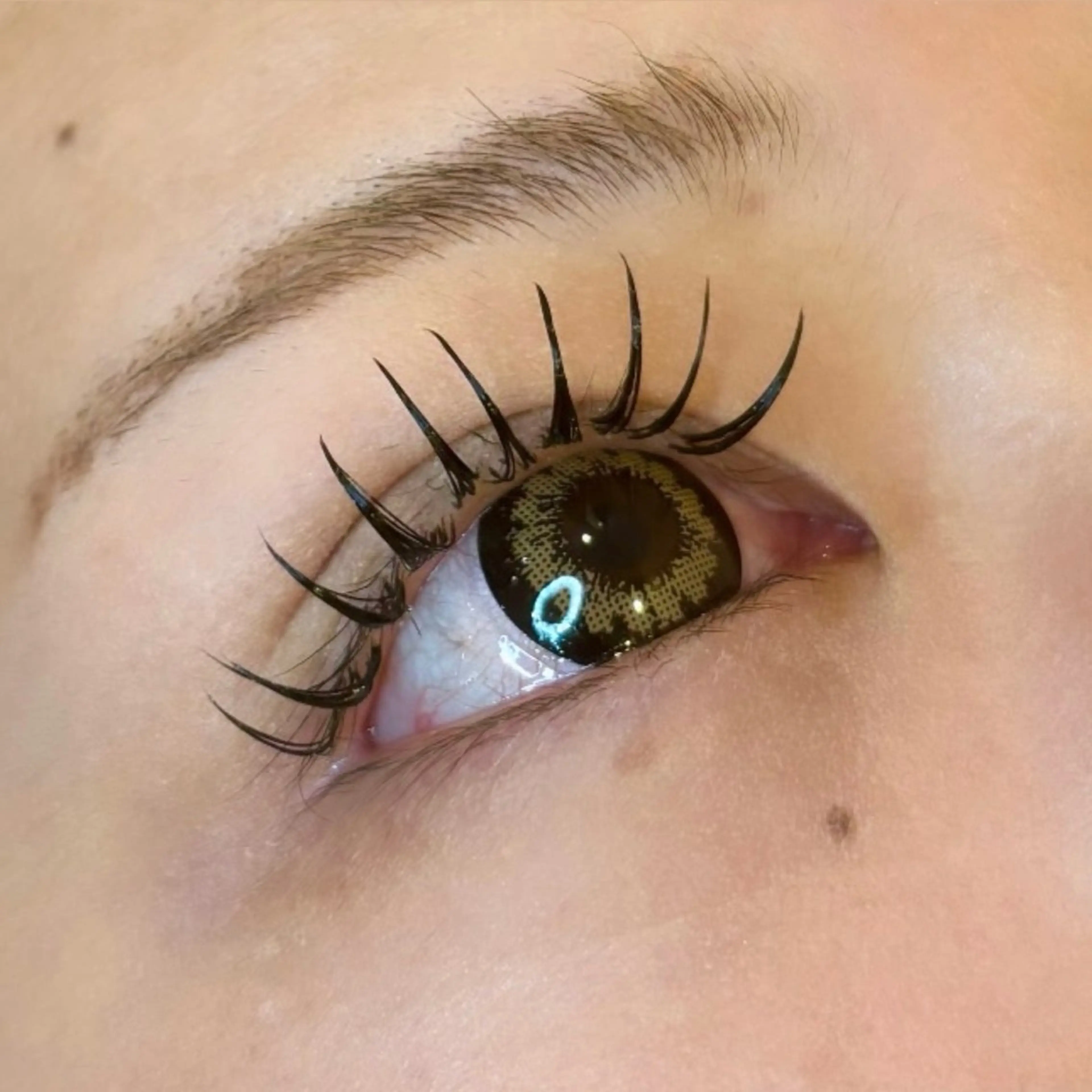 ☃️12月限定価格☃️フラットラッシュ160本つけ放題♡美容液コーティング付♡他店オフ🆗の写真