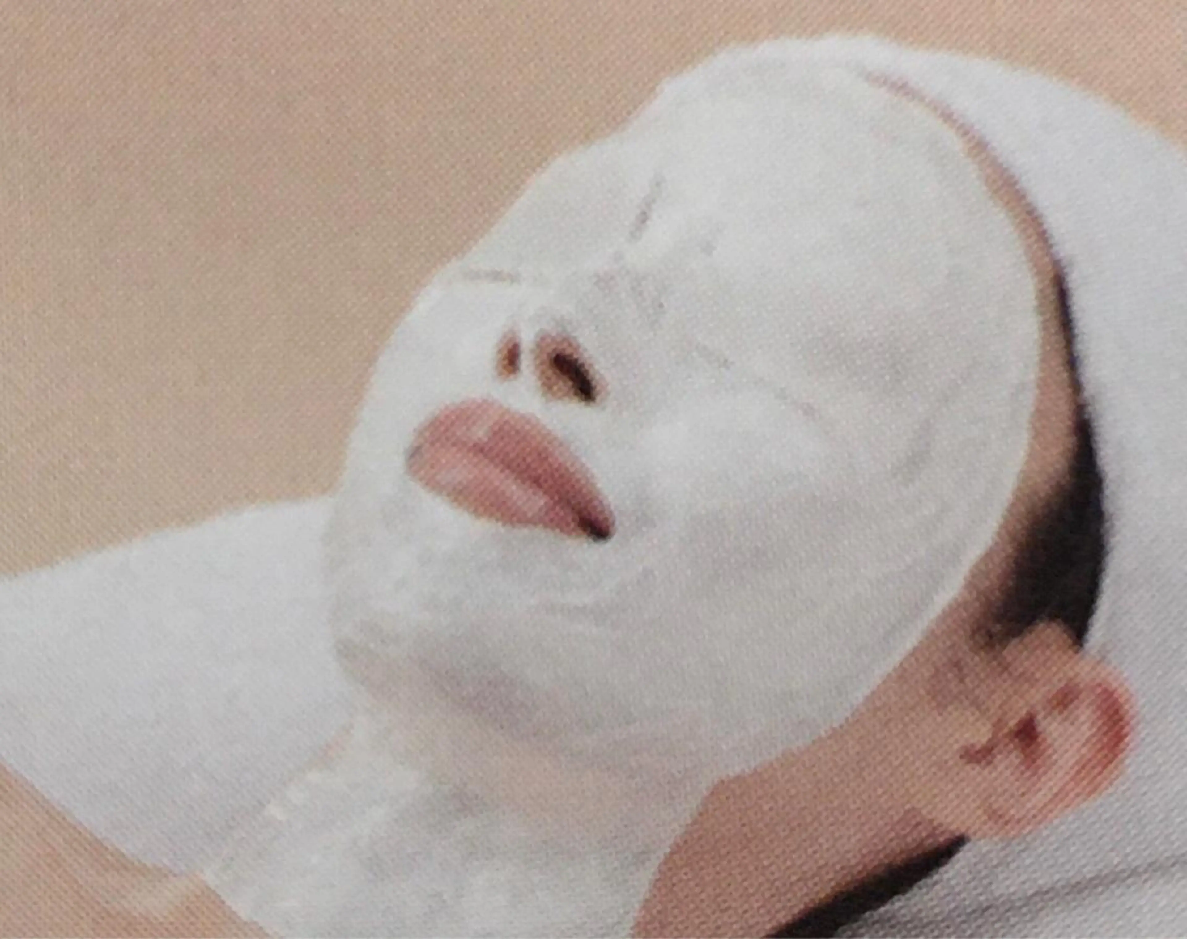 ​〜​オプションパックメニュー​〜​の写真