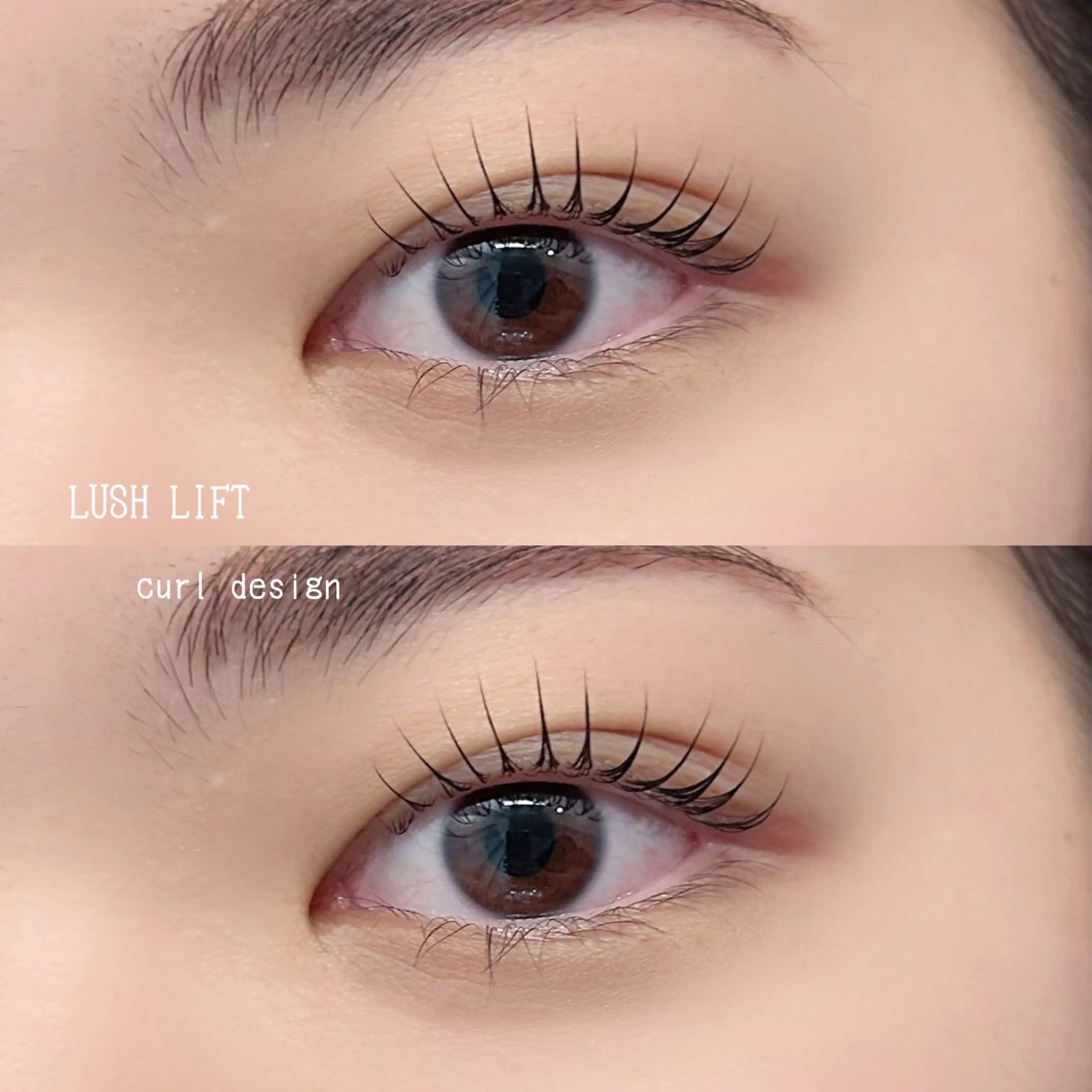 まつ毛パーマ✖️眉毛WAX✖️眉毛カラーの写真