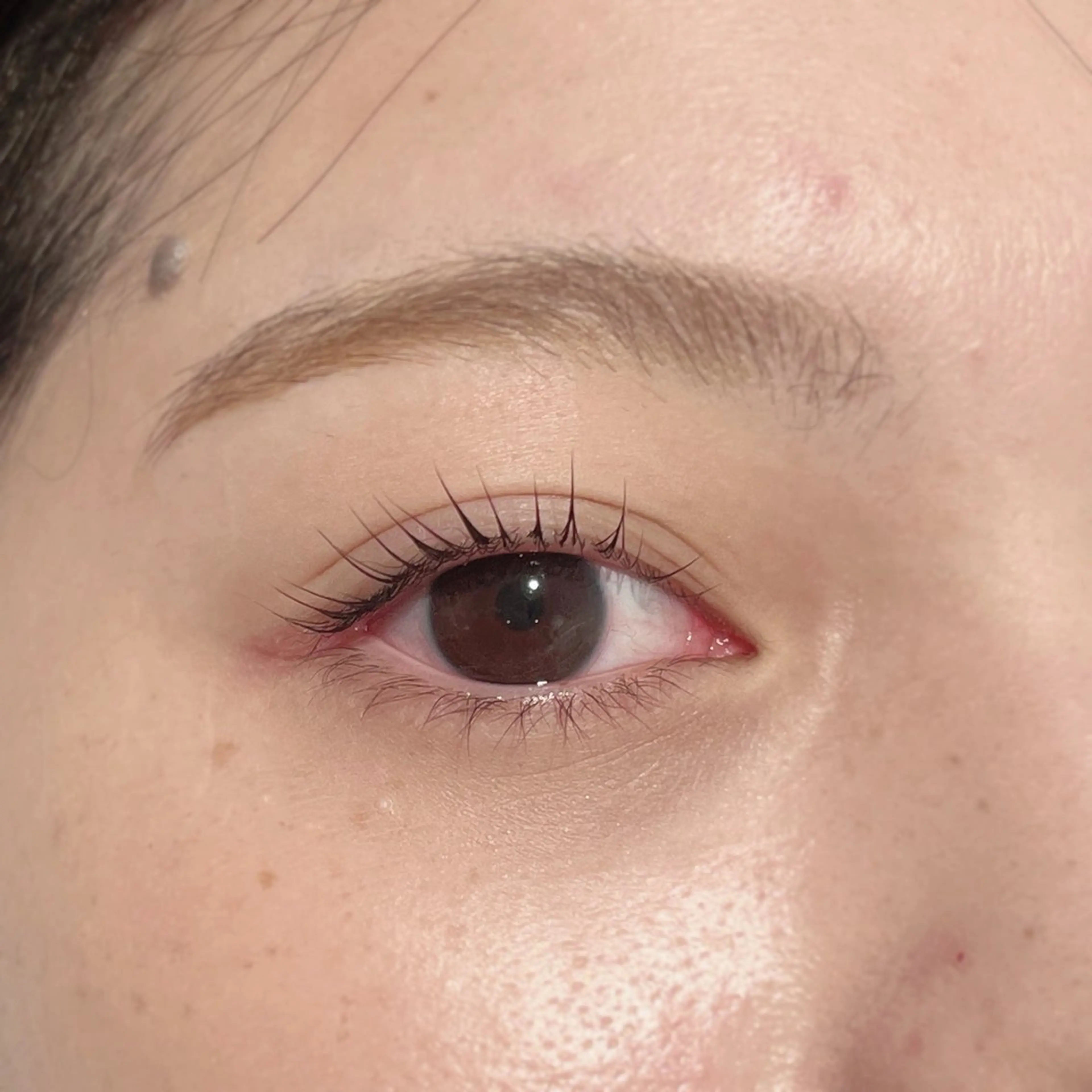 マツエク・マツパ マツパ Biolus／天王寺 本店 🔸YUI🔸のマツエク・マツパデザイン