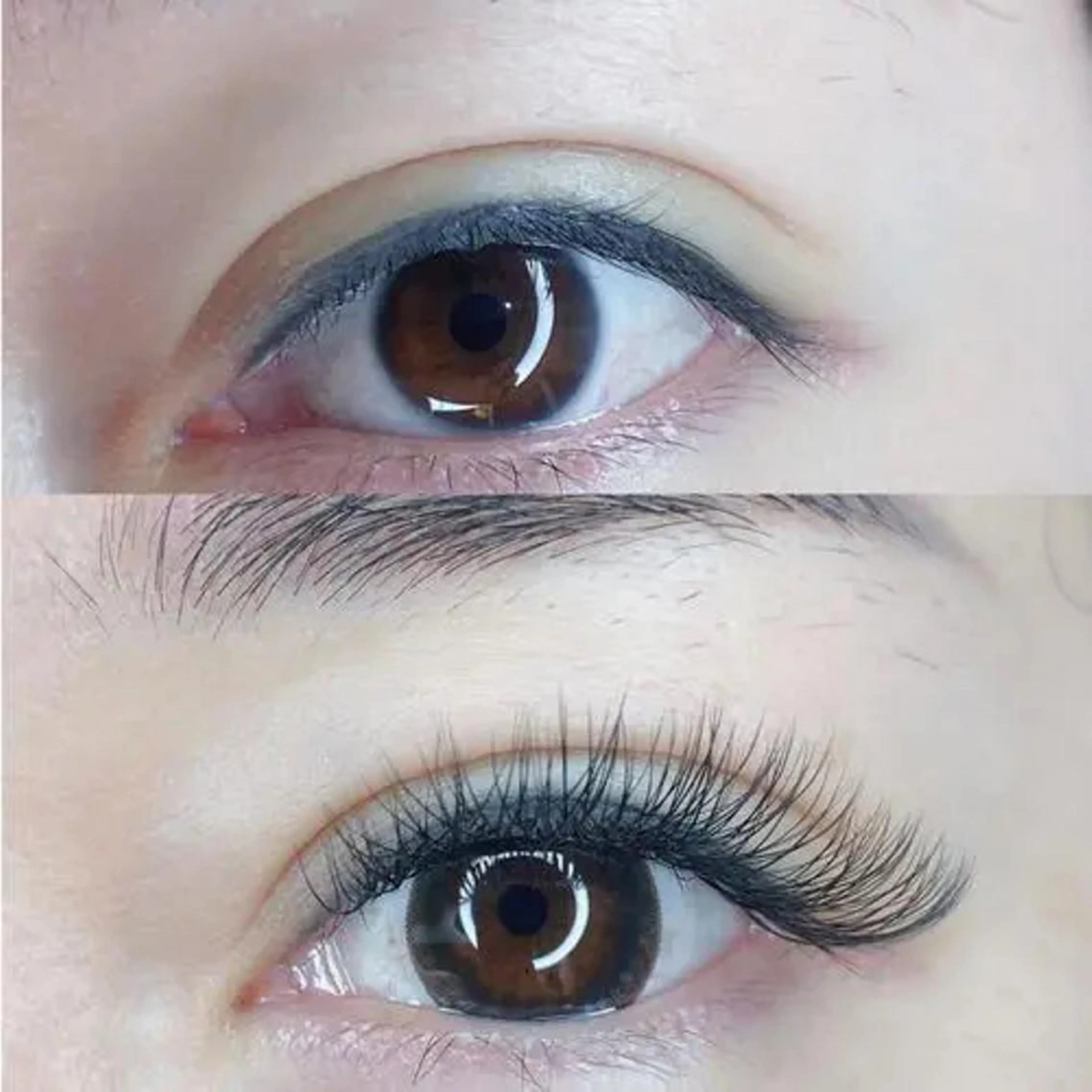 マツエク・マツパ 付け放題 フラットラッシュ マツエク 羽賀 美和のマツエク・マツパデザイン