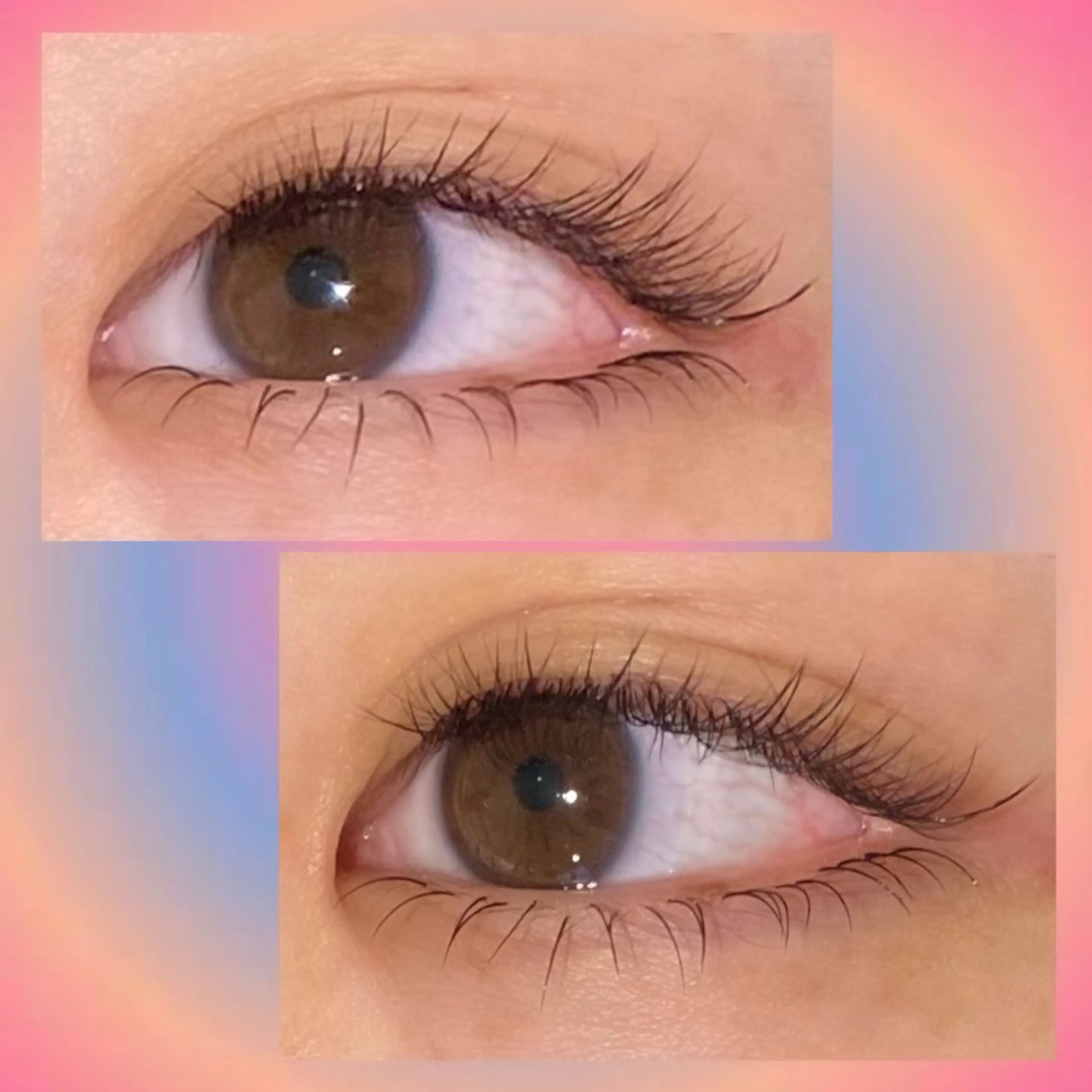 下まつ毛エクステ20本or40本🪼🫧{20本¥3500／40本¥4000｝の写真