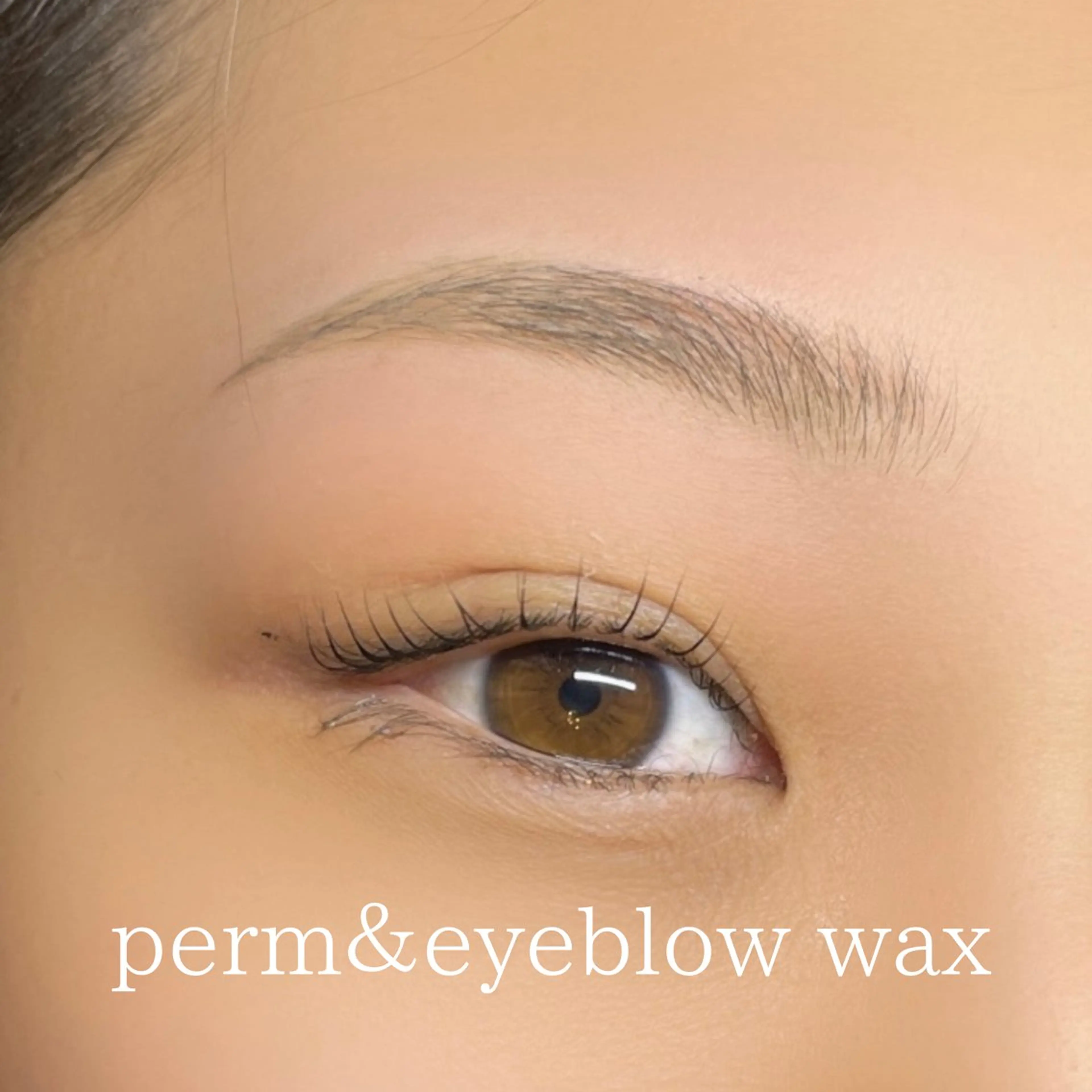 マツエク・マツパ マツパ 環那所属・環那 🫧ながとも🐚🫧の眉毛・アイブロウイメージ