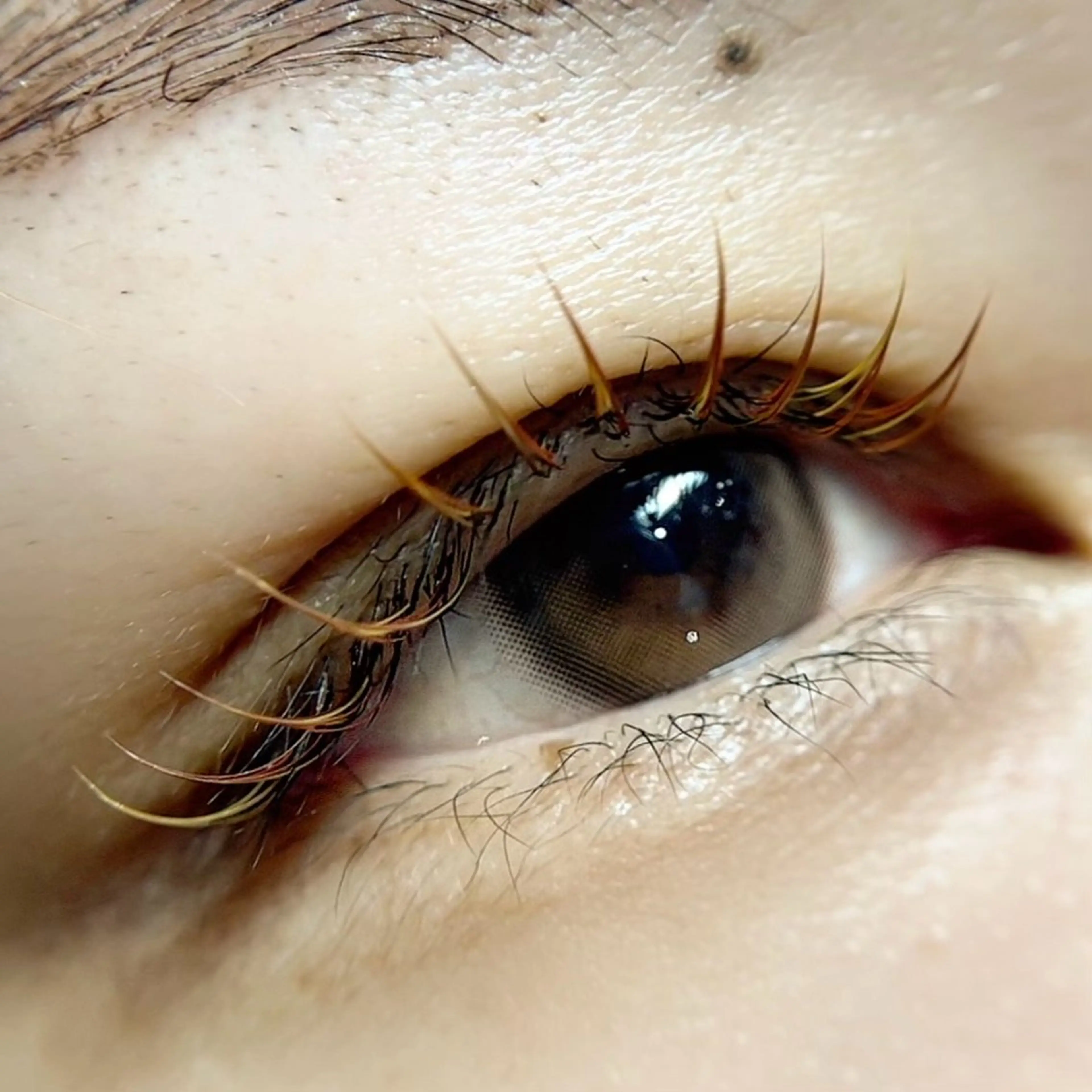 マツエク・マツパ マツエク 🪸似合わせ/お悩み 解決🪸しもだのマツエク・マツパデザイン