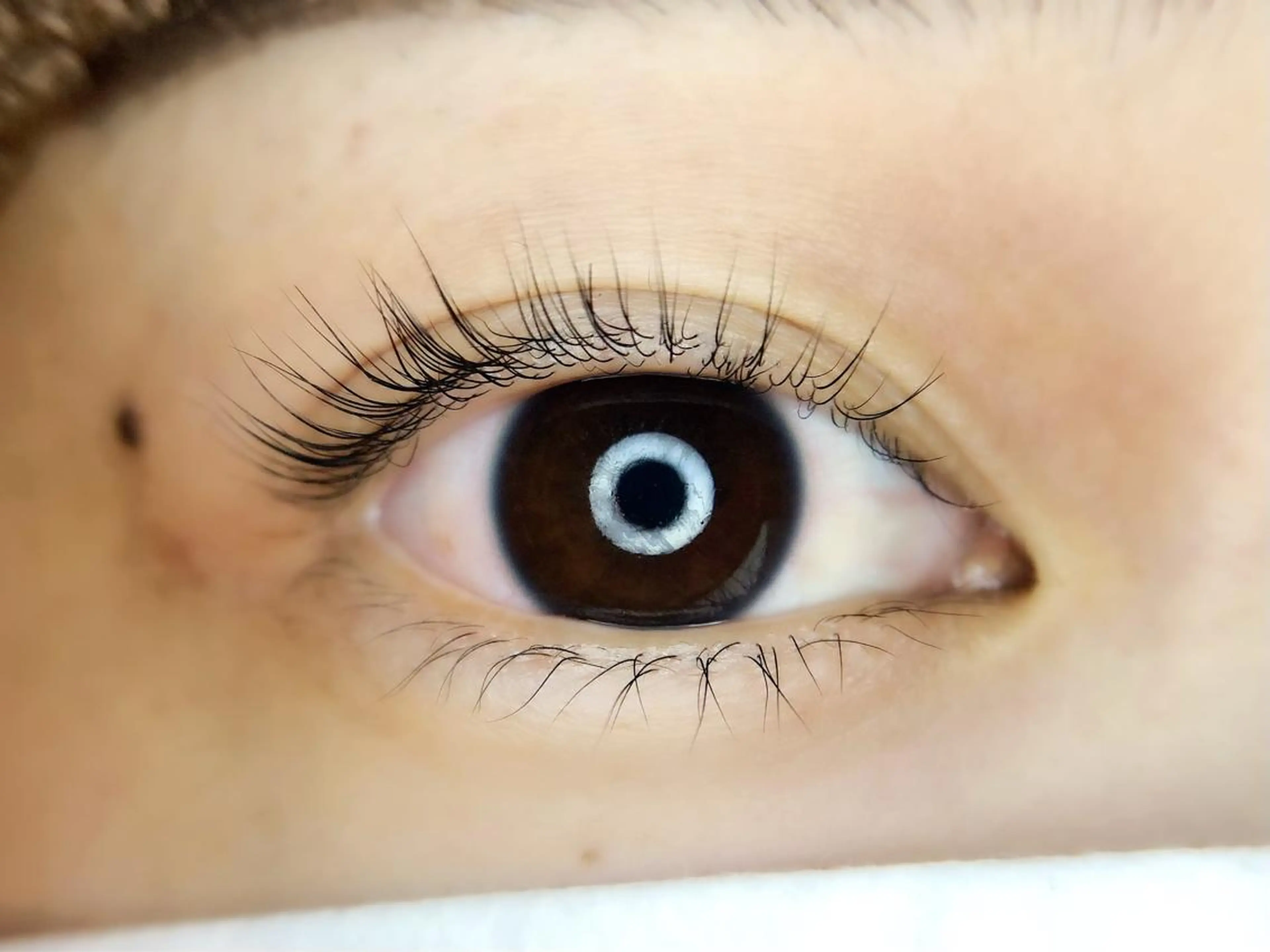 マツエク・マツパ Irima静岡駅前店所属・Irima静岡駅前店 松浦のマツエク・マツパデザイン