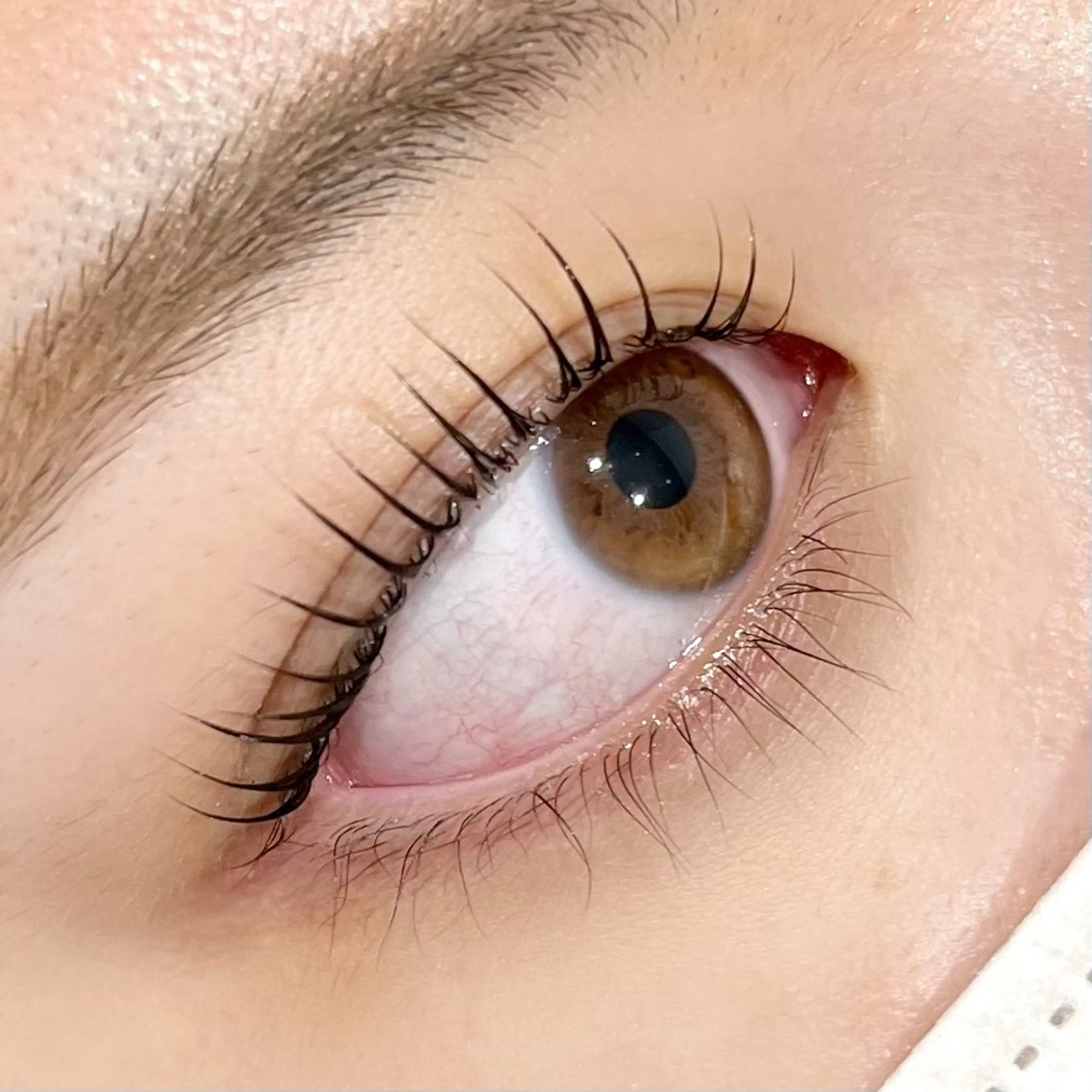 まつ毛パーマ🍑トリートメント&コーティング剤付きの写真