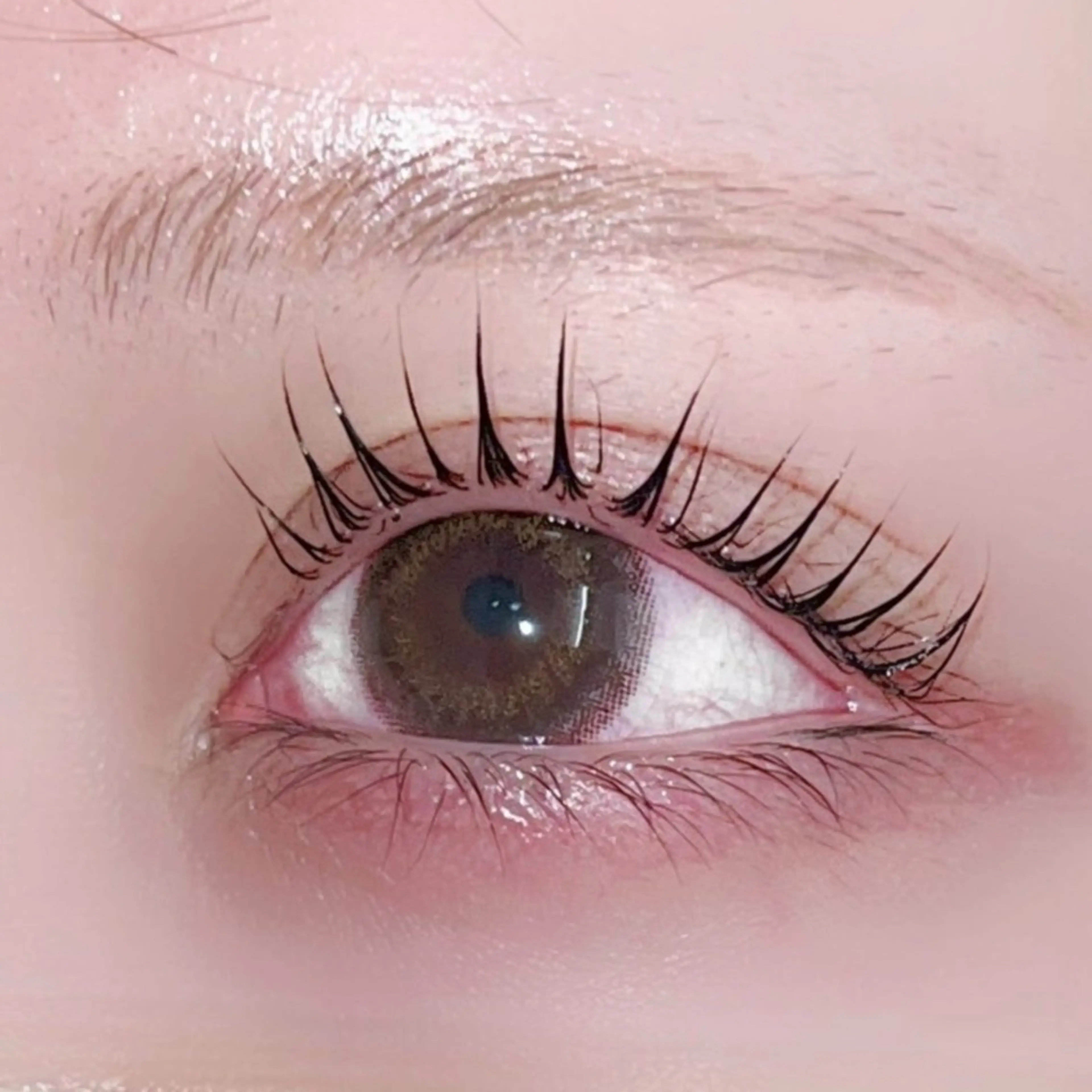 [minimo限定 学割U24💖]束感韓国風パリジェンヌ♡コーティング付き✧*｡の写真