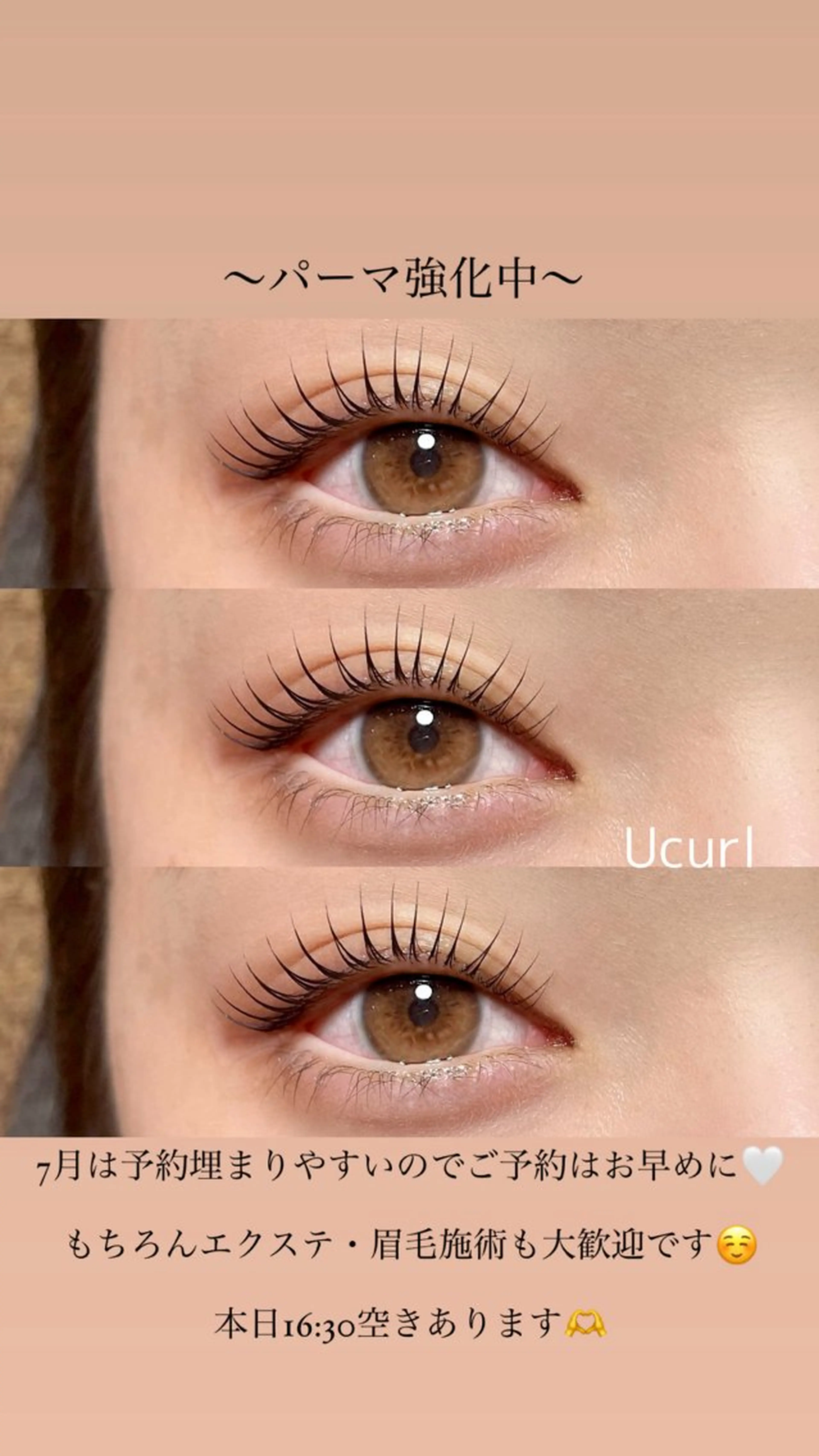 マツエク・マツパ パリジェンヌラッシュリフト 一重×まつ毛パーマ 玉木 愛の眉毛・アイブロウイメージ