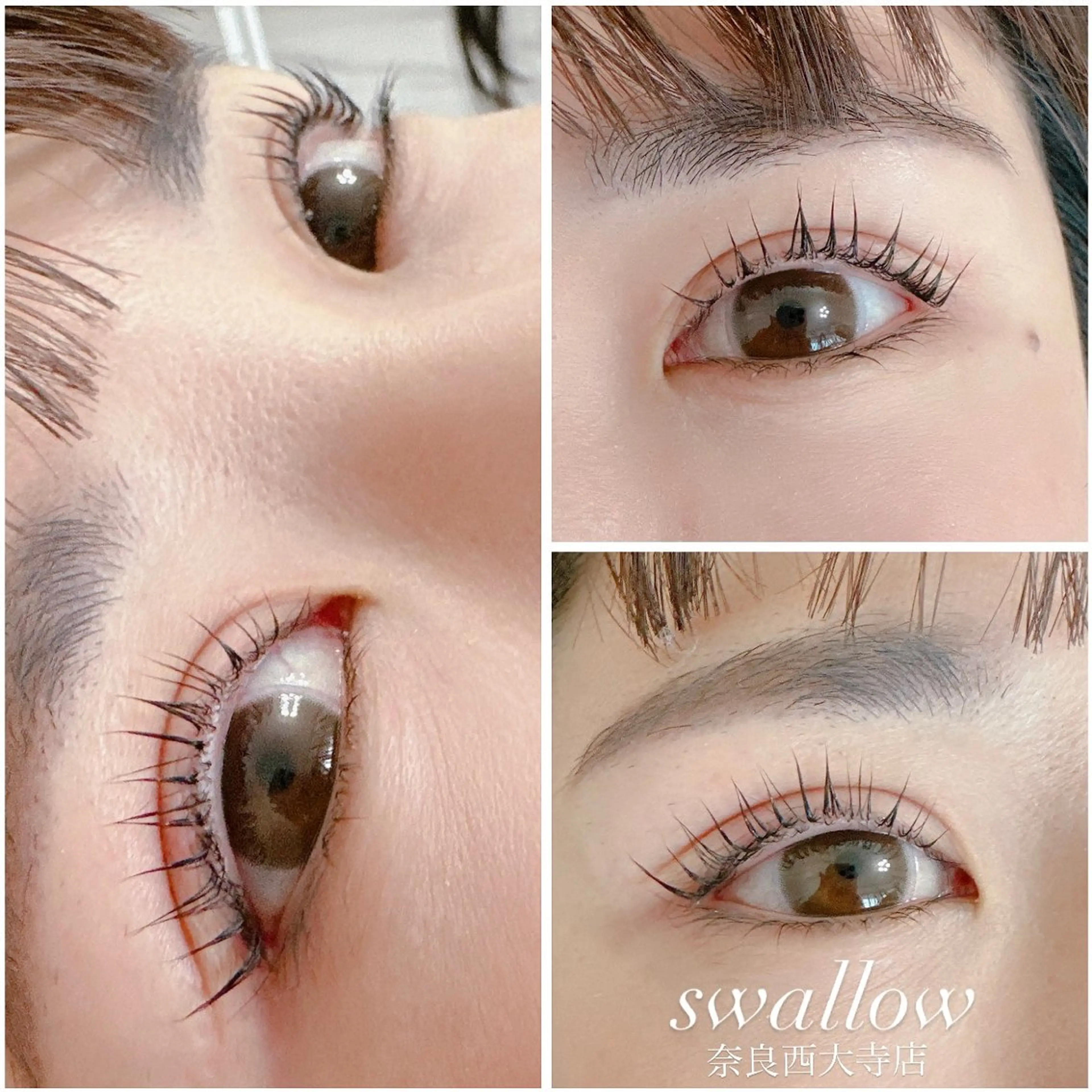 マツエク・マツパ swallow 奈良西大寺店のマツエク・マツパデザイン