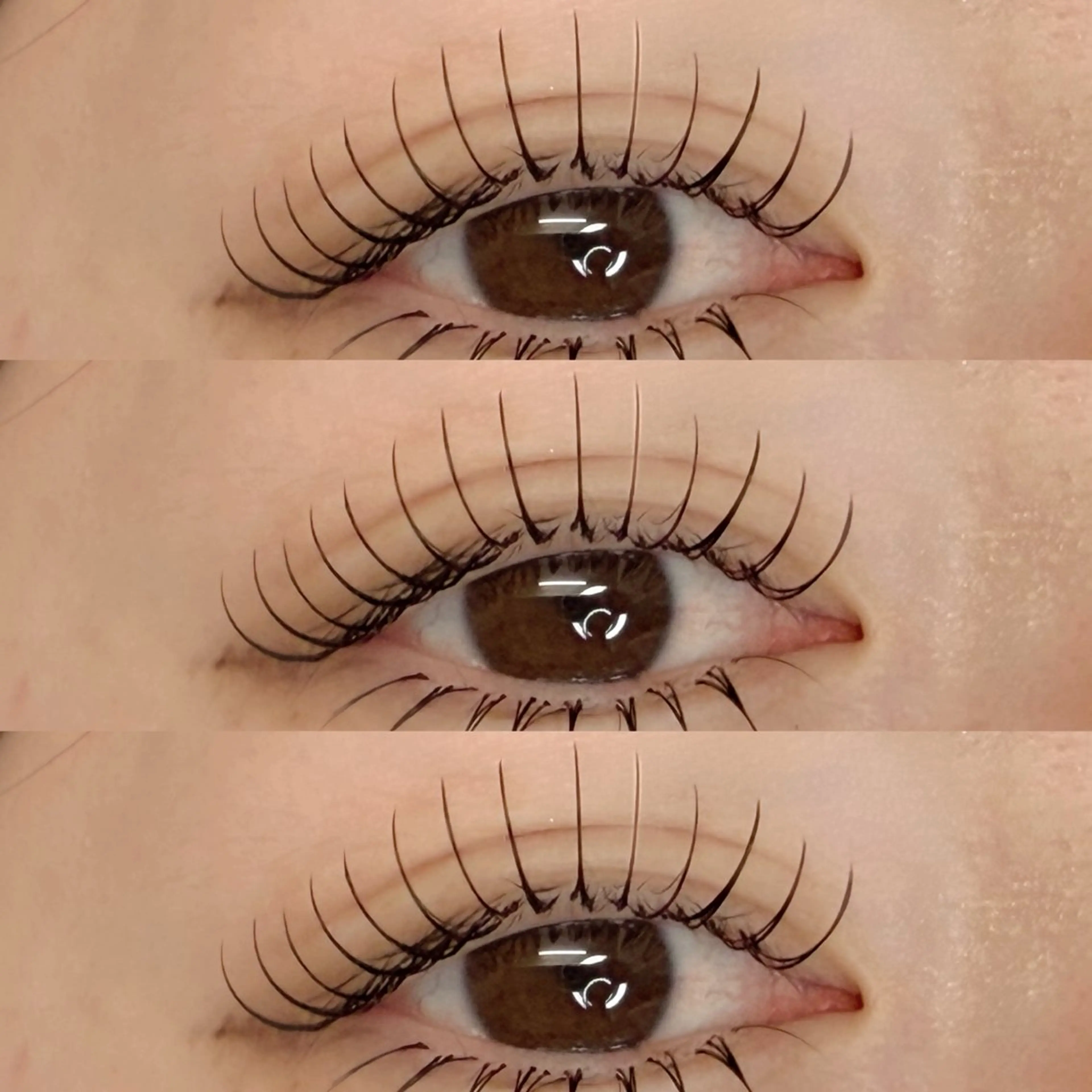 マツエク・マツパ マツエク Arva 【Leia】のマツエク・マツパデザイン