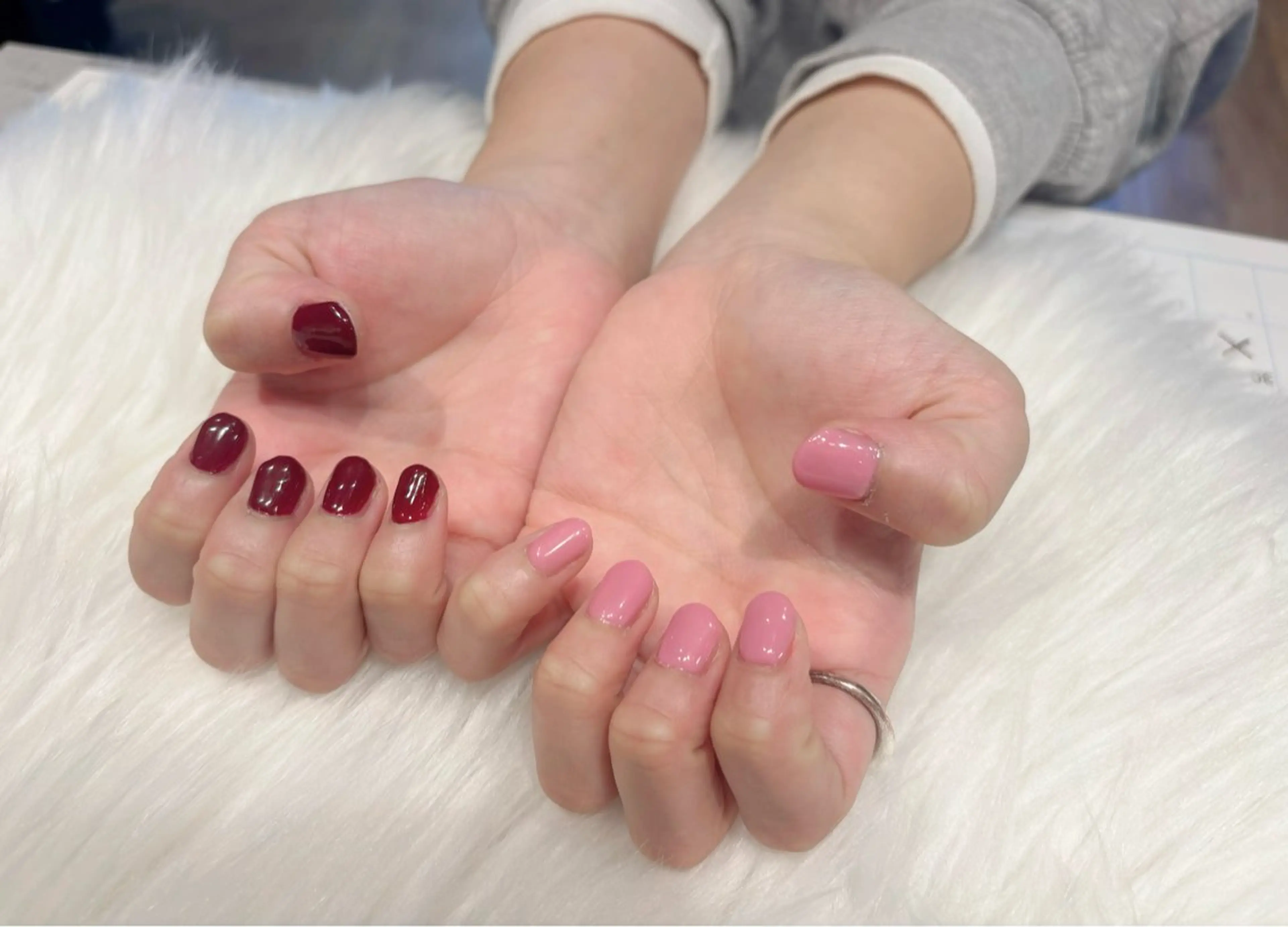 オフ無しワンカラーの写真