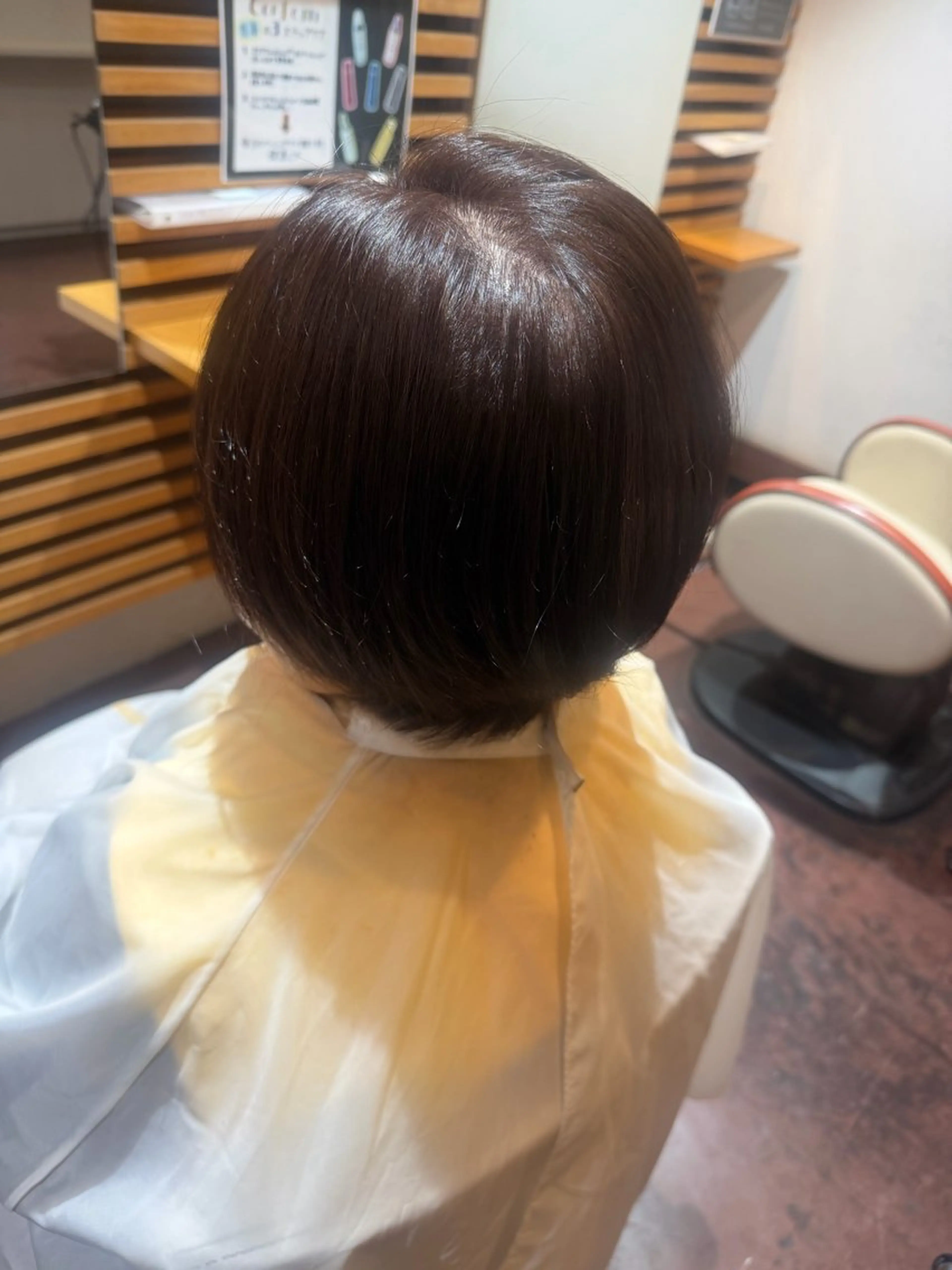 ショート 松下 奈央のヘアスタイル