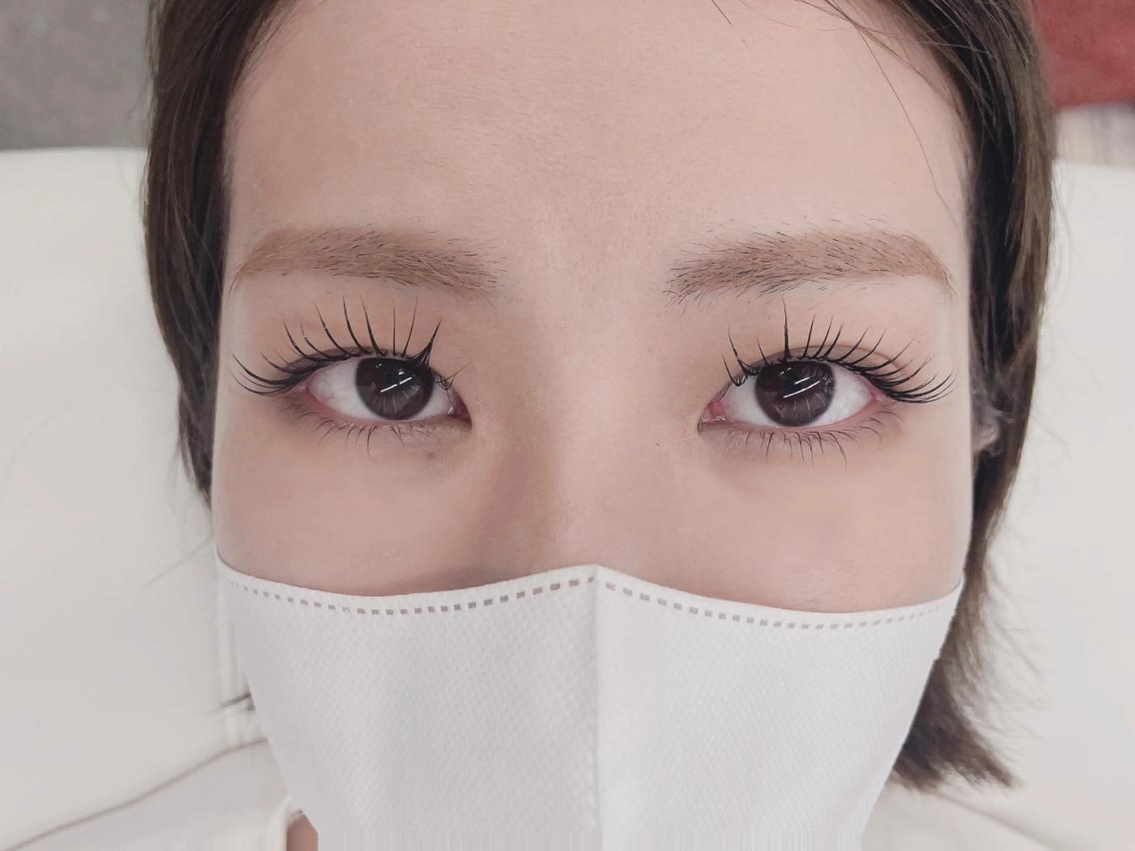 12月限定❗️メーテルラッシュ+束感コーティング付き🐉の写真