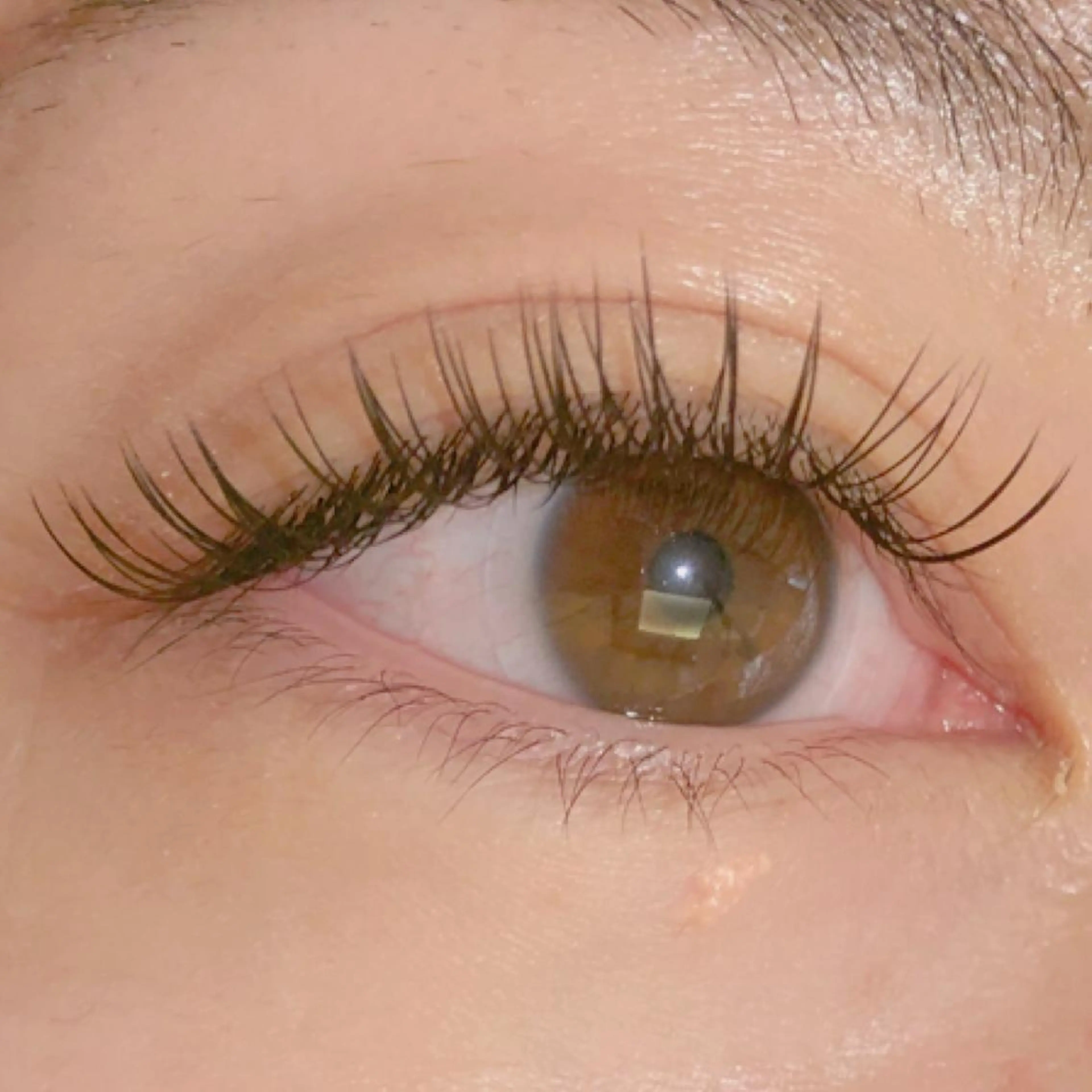 マツエク・マツパ フラットラッシュ eyelist マツエク🐣のマツエク・マツパデザイン