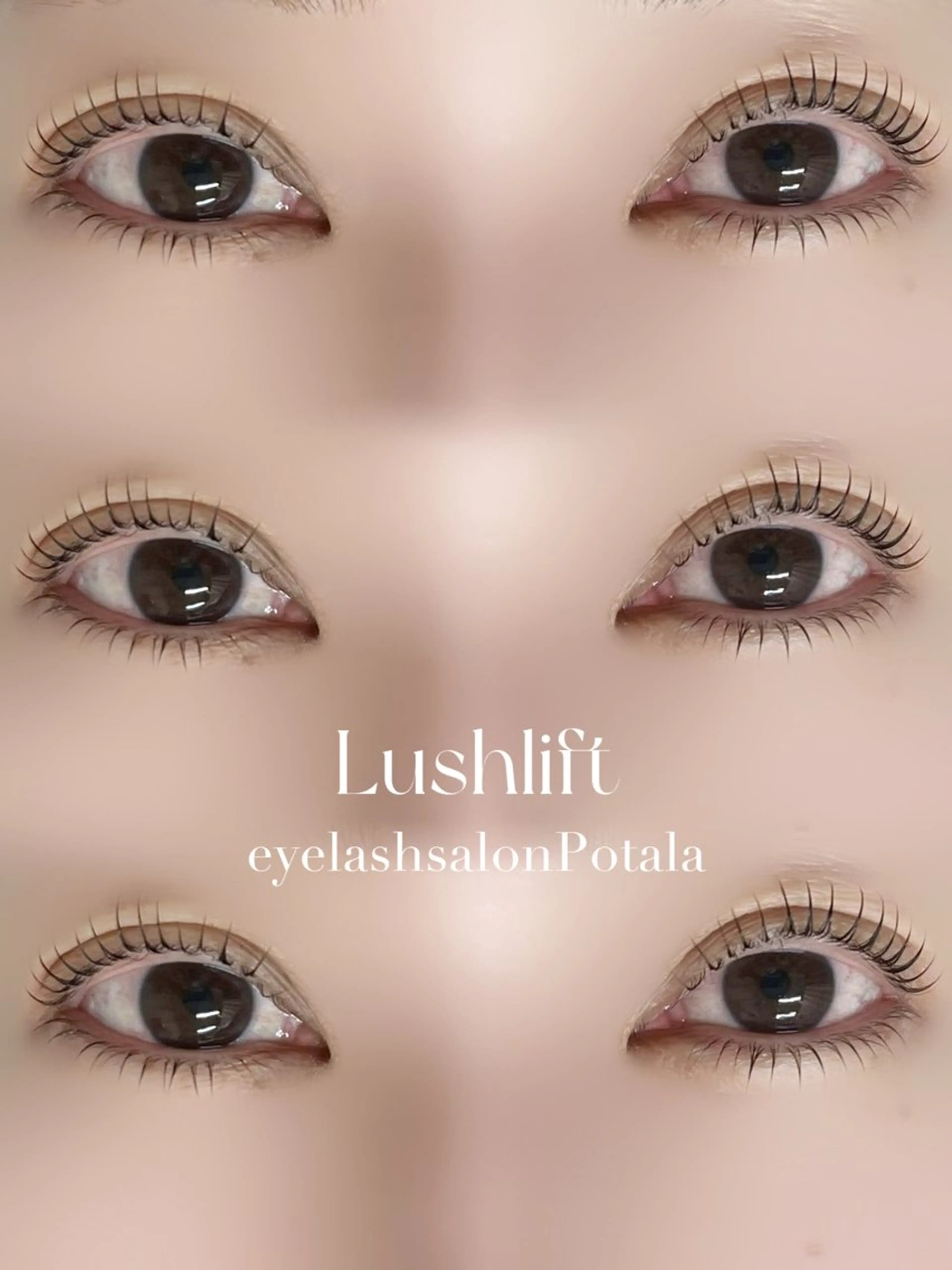 新規のお客様限定！下まつげパーマ🎀の写真