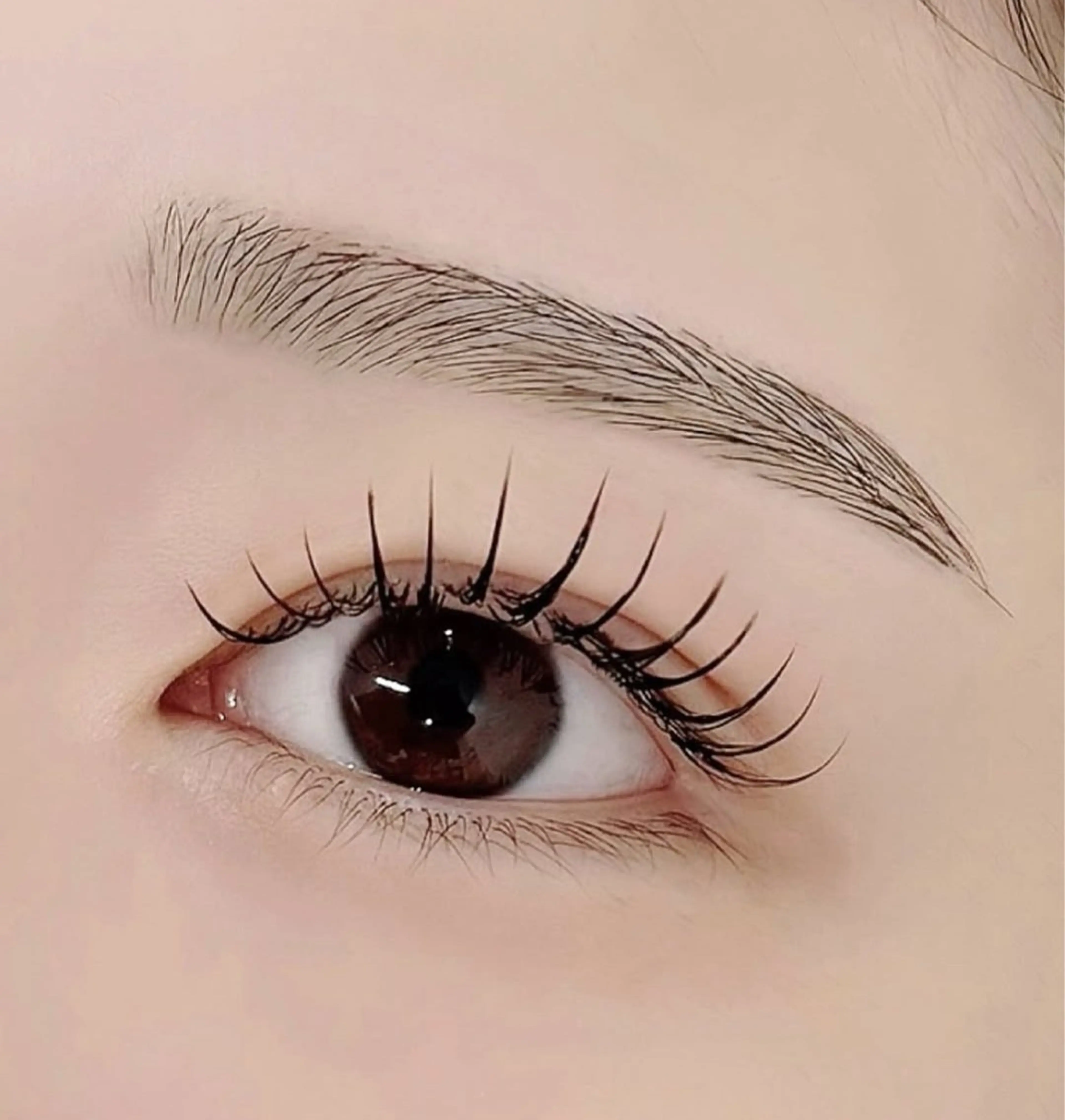 29日18:30/19:00★LEDエクステ⚠️10分前ご来店必須⚠️の写真