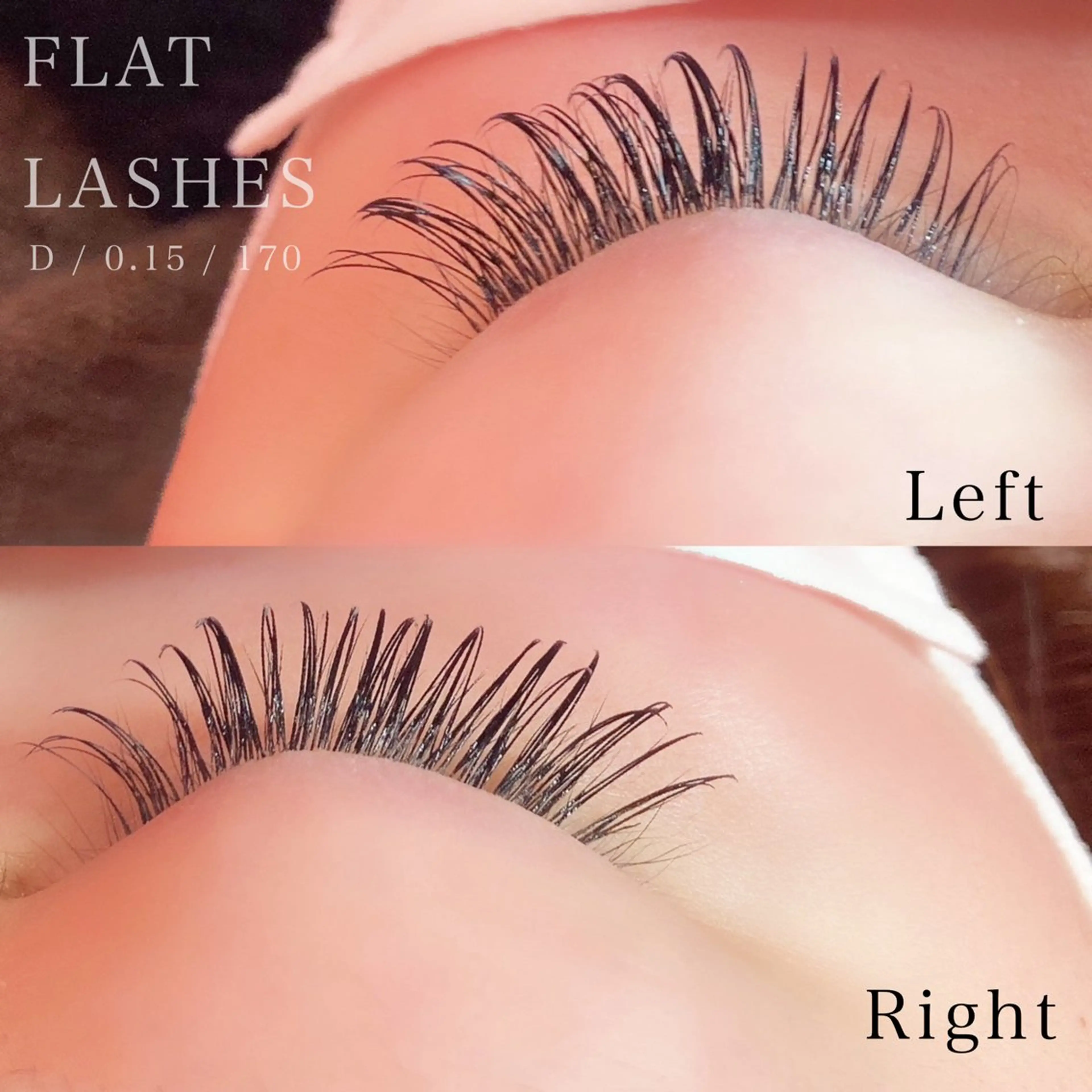 フラットラッシュ　100本の写真