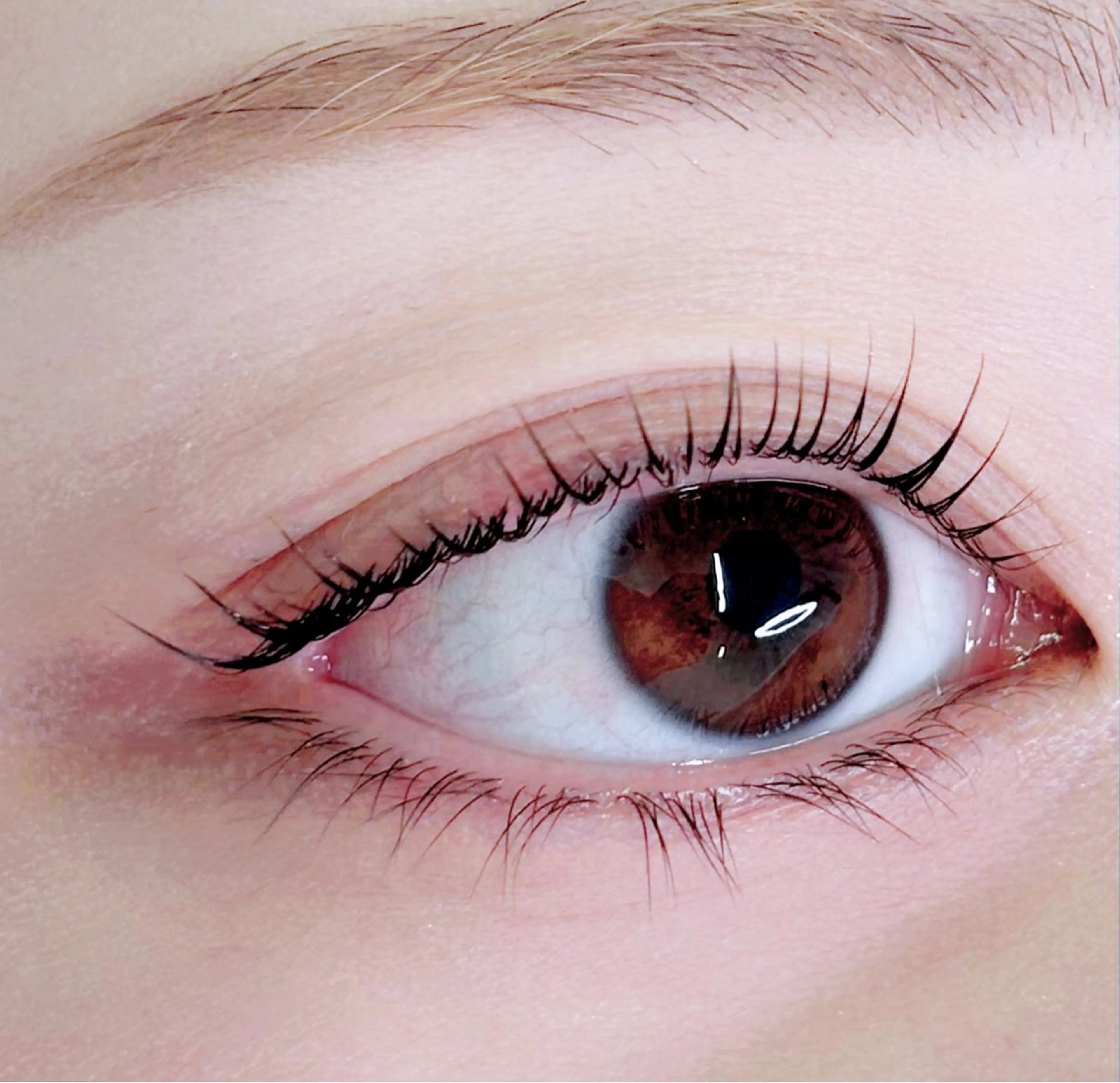 【🍀パリジェンヌorまつげパーマ🍀】デザインはカウンセリング時にお伝えください💭の写真