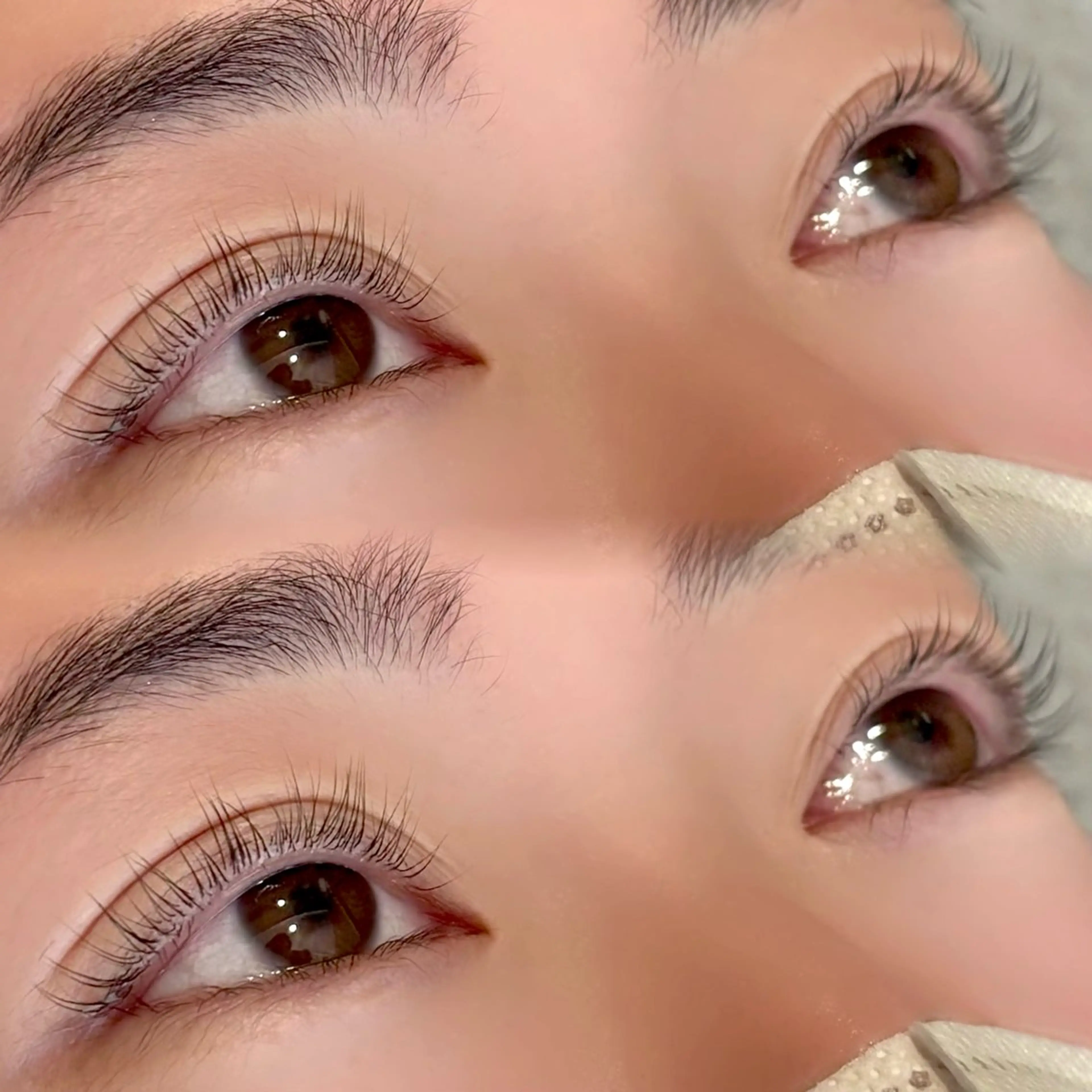 ãããšã¯ã»ããã ããã ðð®ð«ð ââºË³â§àŒã®ãããšã¯ã»ããããã¶ã€ã³