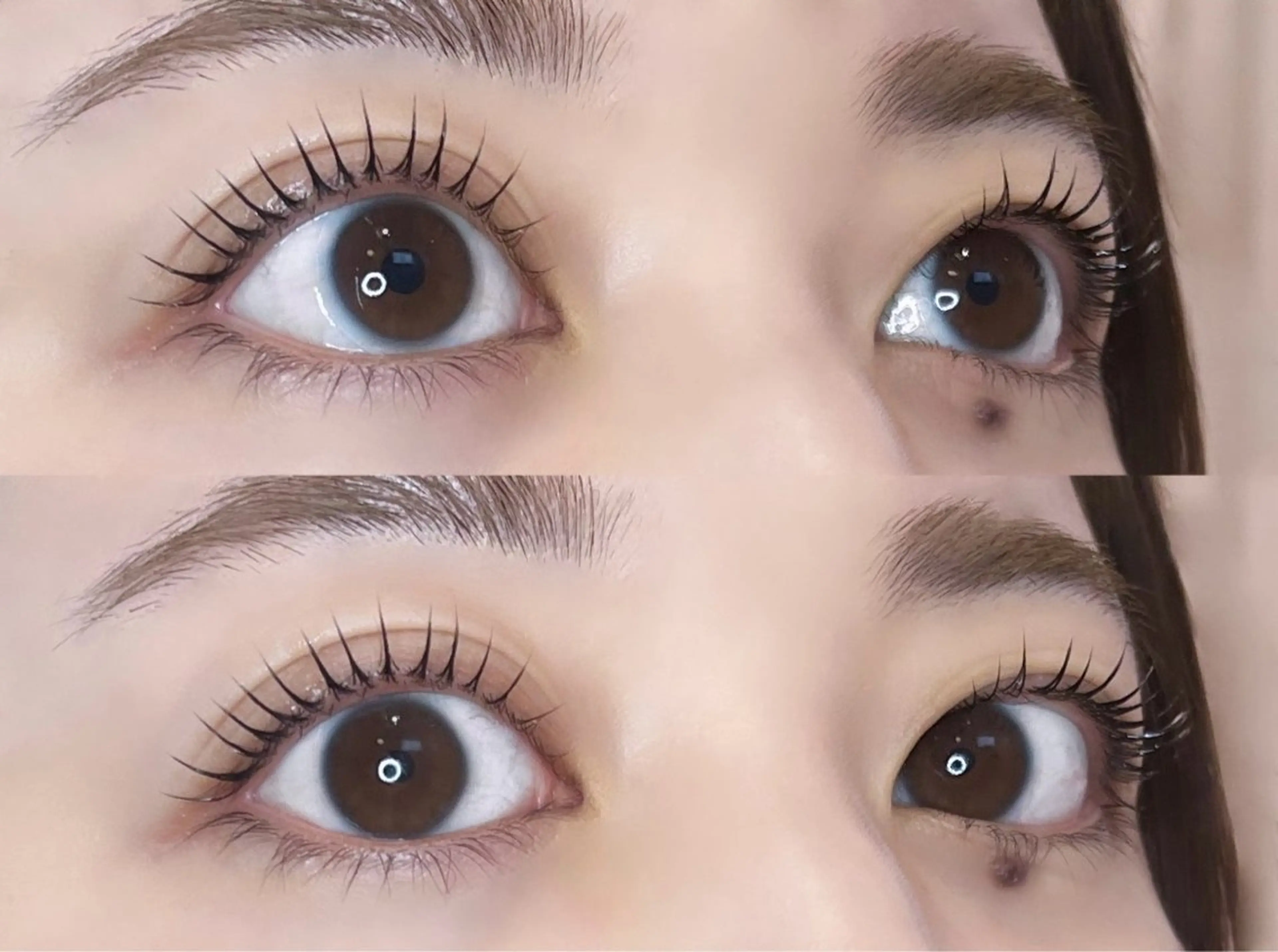 ラッシュリフトorパリジェンヌラッシュリフト🩰コーティング仕上げ🍀* ゚の写真