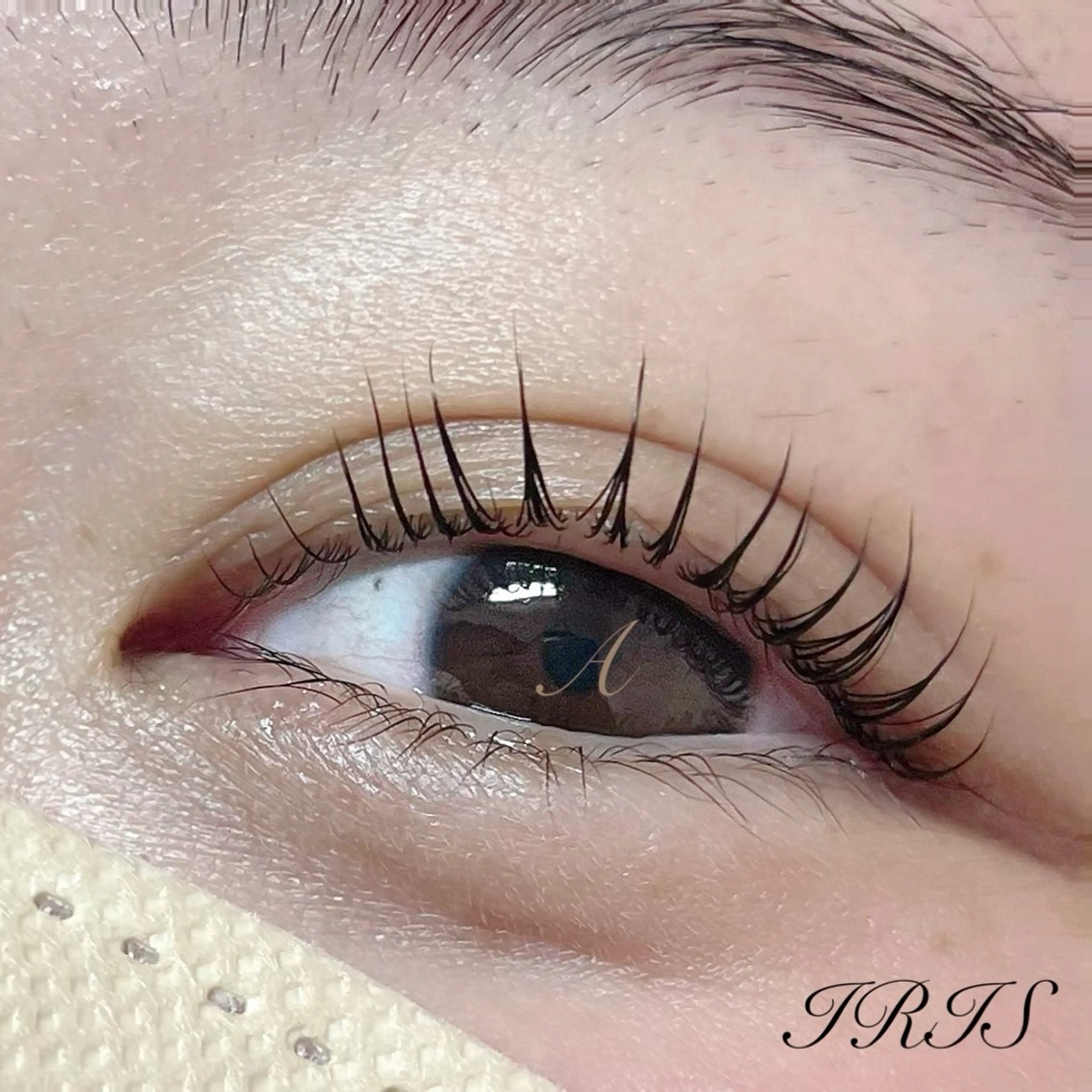 マツエク・マツパ 一重×まつ毛パーマ マツパ IRIS🫧 Ayaのマツエク・マツパデザイン