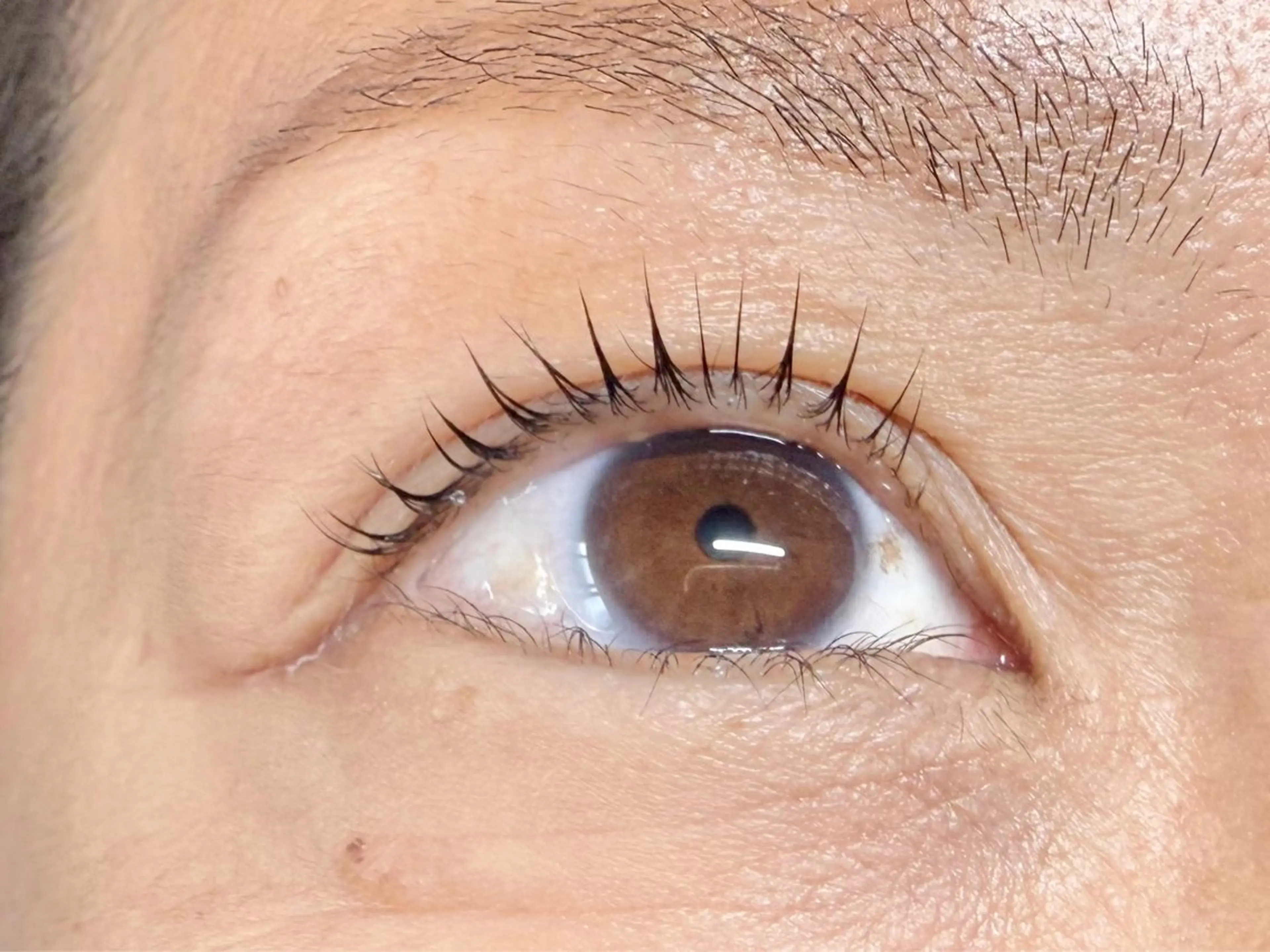 マツエク・マツパ BERYL RINAのマツエク・マツパデザイン