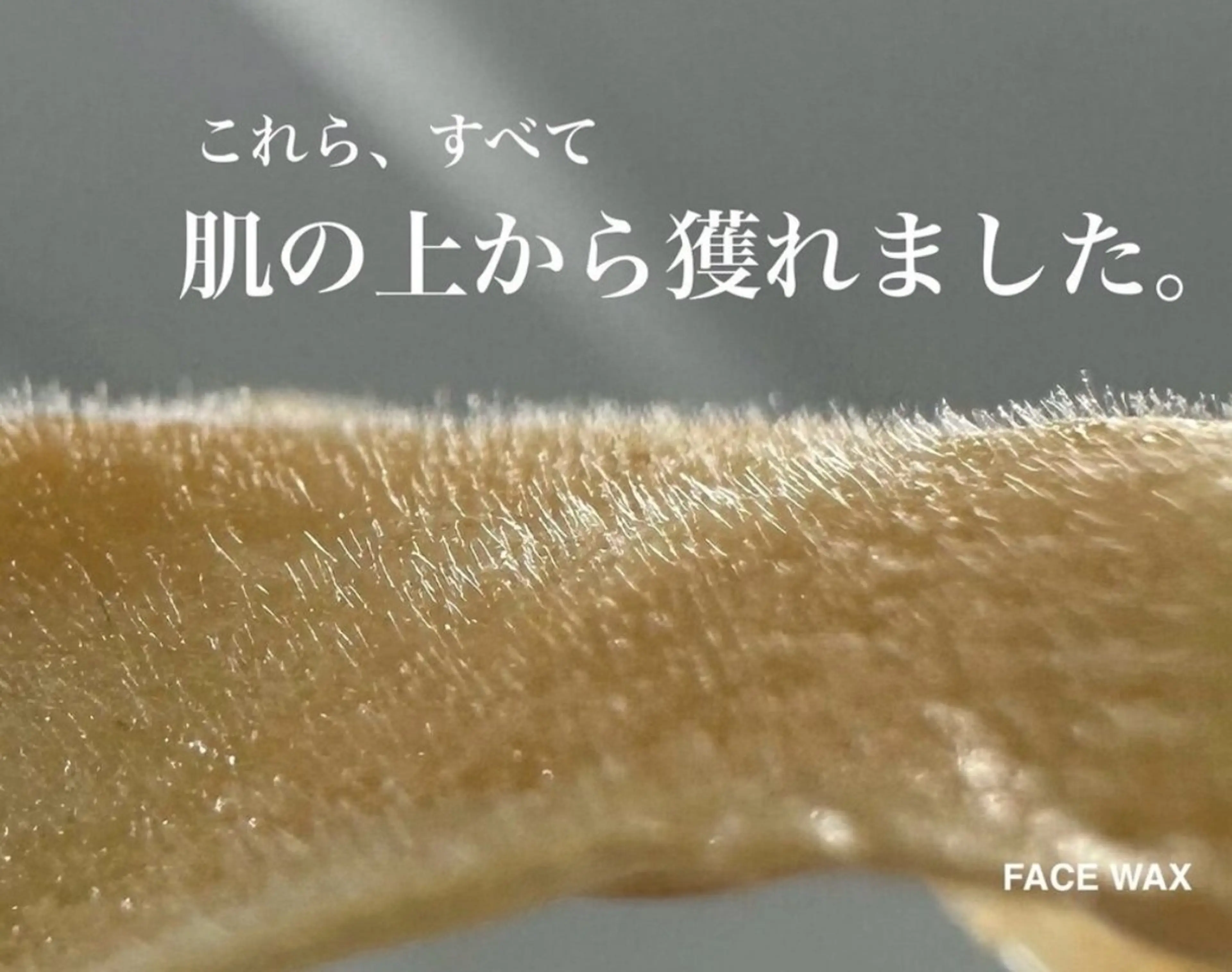 【毛穴の黒ずみ・角栓改善】肌が綺麗になるフェイスワックスの写真