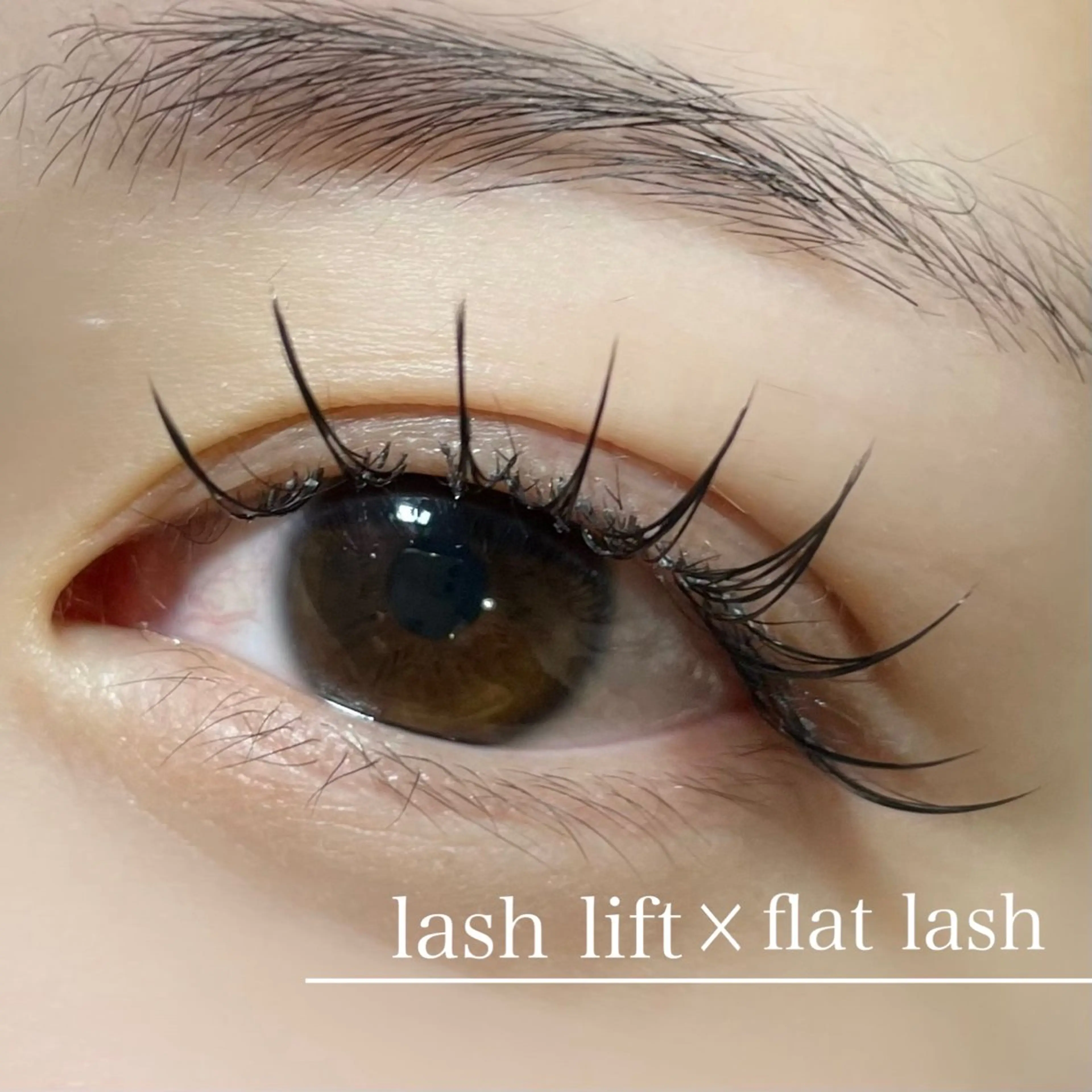 マツエク・マツパ salut ayakaのマツエク・マツパデザイン