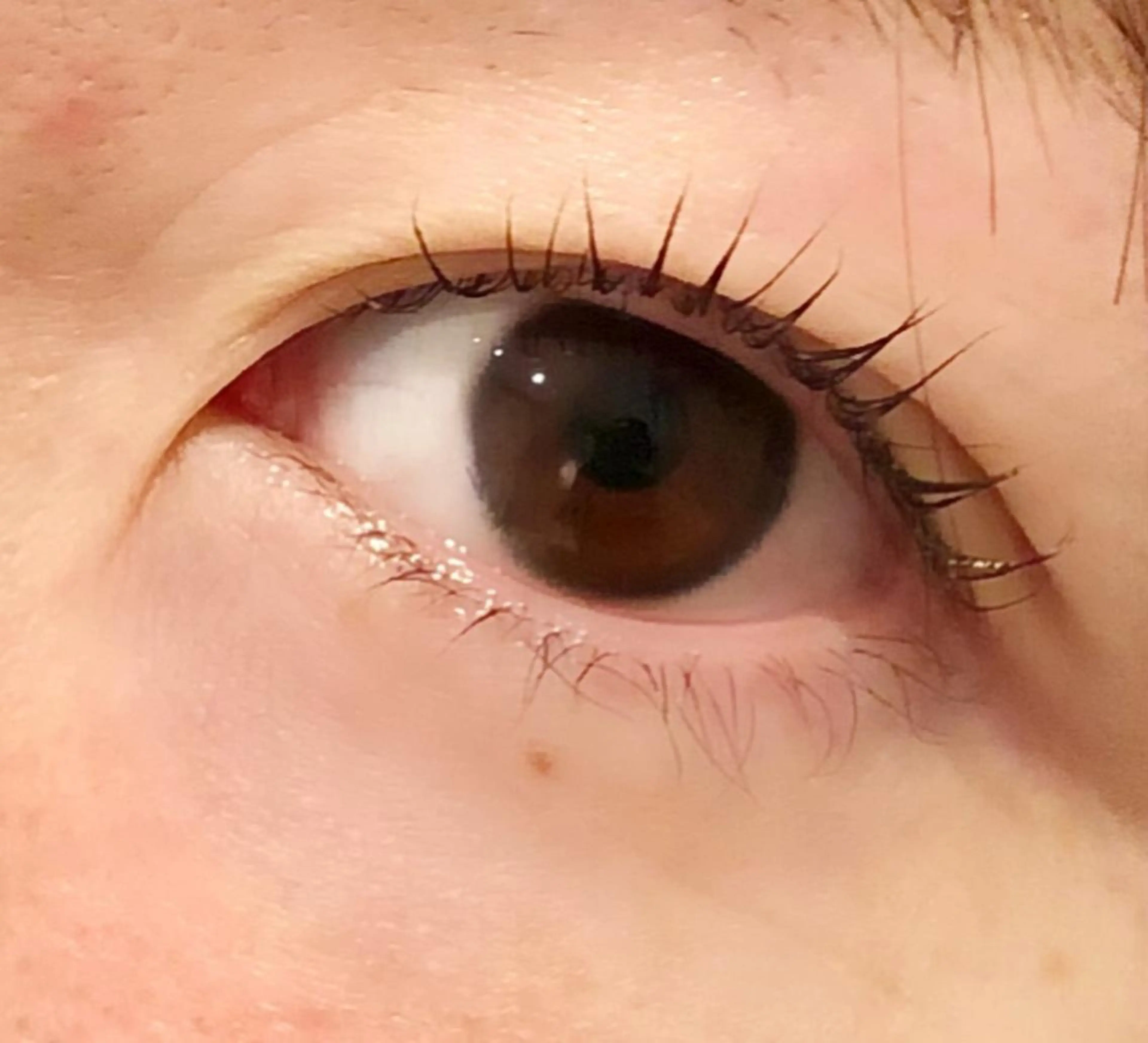 マツエク・マツパ レイ ⭐︎のマツエク・マツパデザイン